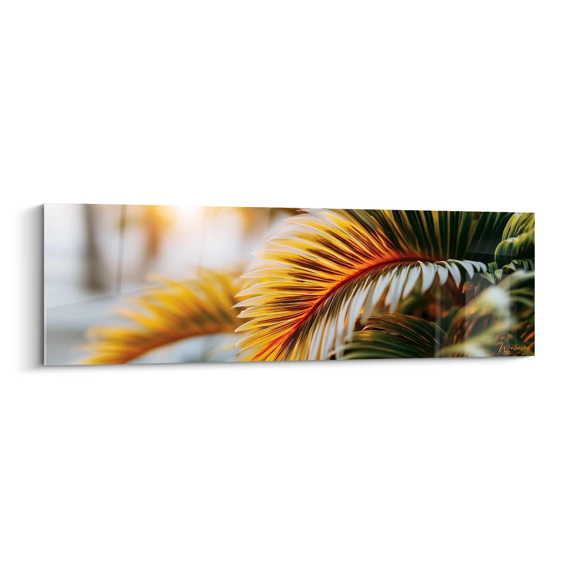 Feuille de palmier dorée et verte aux pointes orangées, éclairée par une lumière rasante de coucher de soleil.