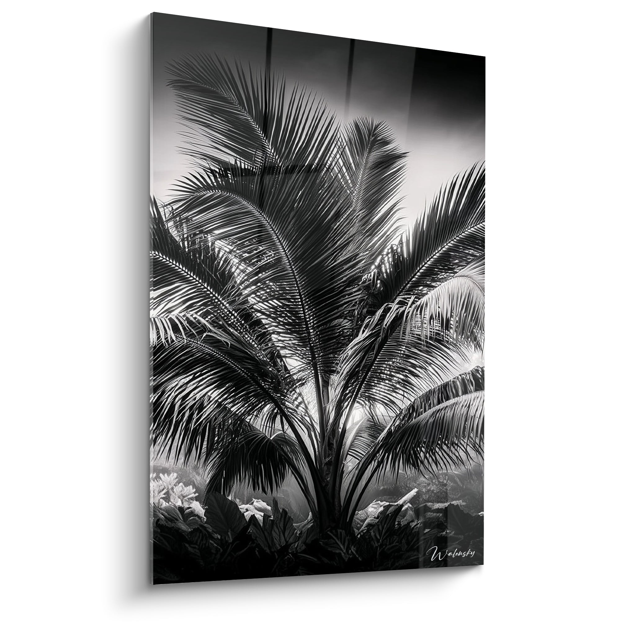 Feuille de palmier en noir et blanc aux frondes déployées, contraste gris anthracite et blanc lumineux