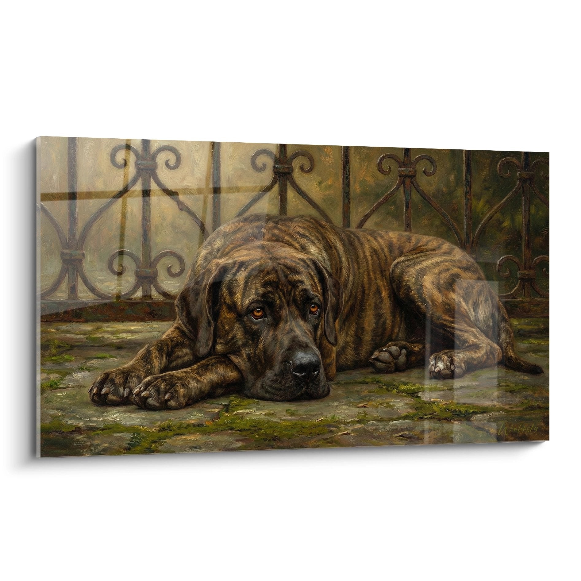 Tableau Fila Brasileiro bringé allongé sur pavés anciens avec grille fer forgé arrière-plan