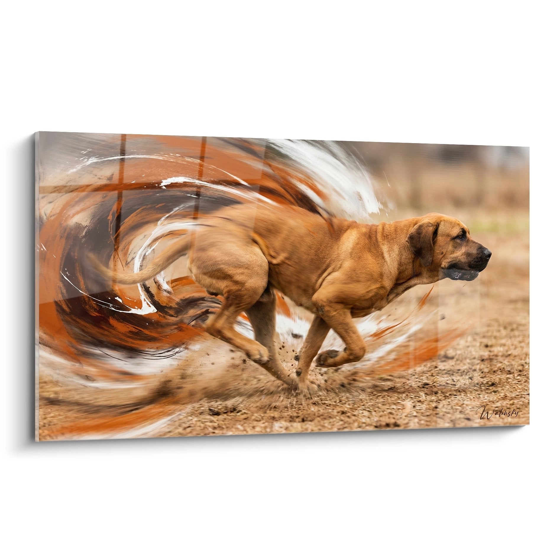 Tableau chien Fila Brasileiro en course avec effets tourbillonnants orangés et blancs sur terrain terreux