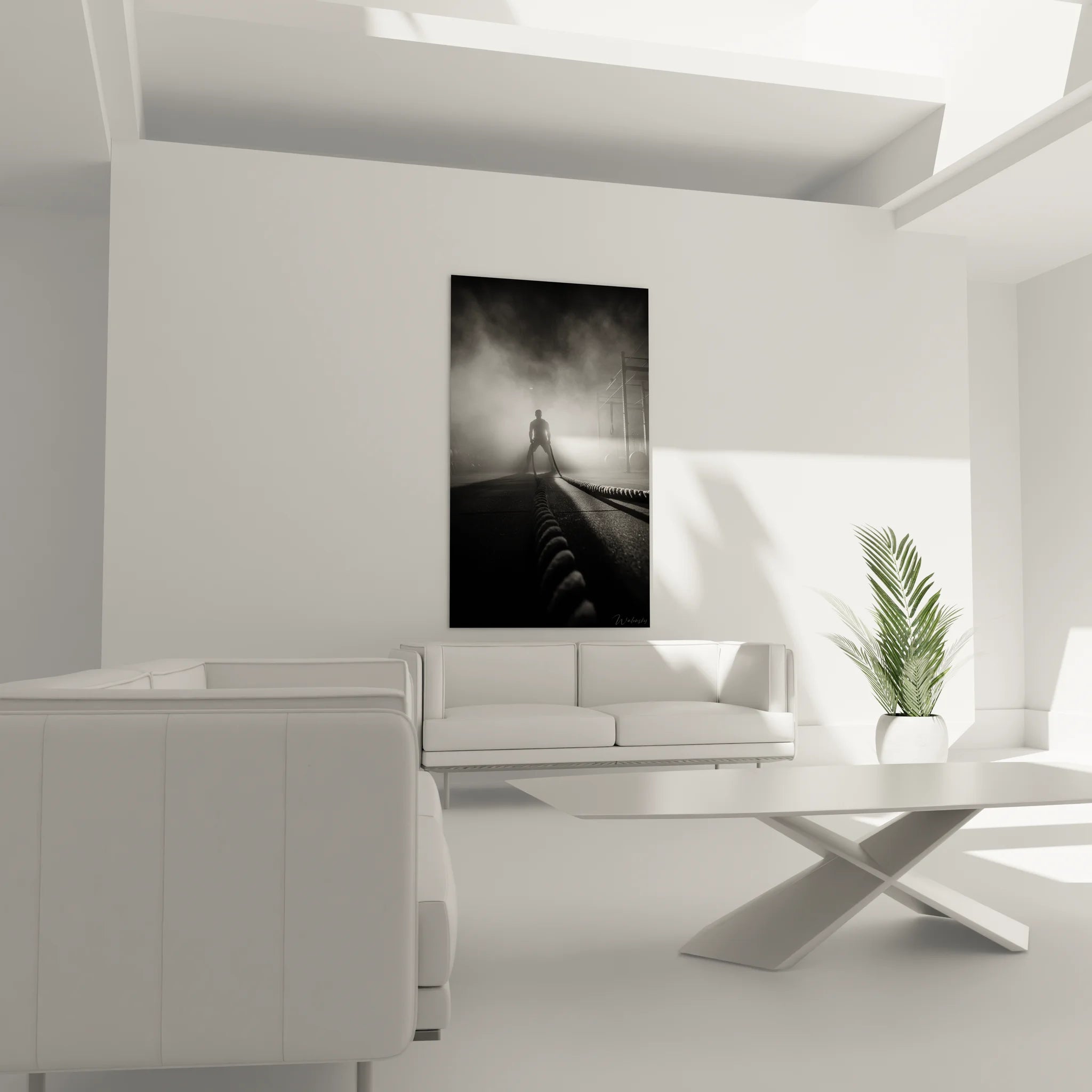 Gros plan tableau fitness montrant détails cordes battle rope et silhouette athlétique noir et blanc