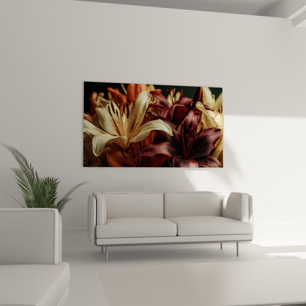 Fleurs de lys ocre et bordeaux profond installées au-dessus d'un canapé dans un salon lumineux