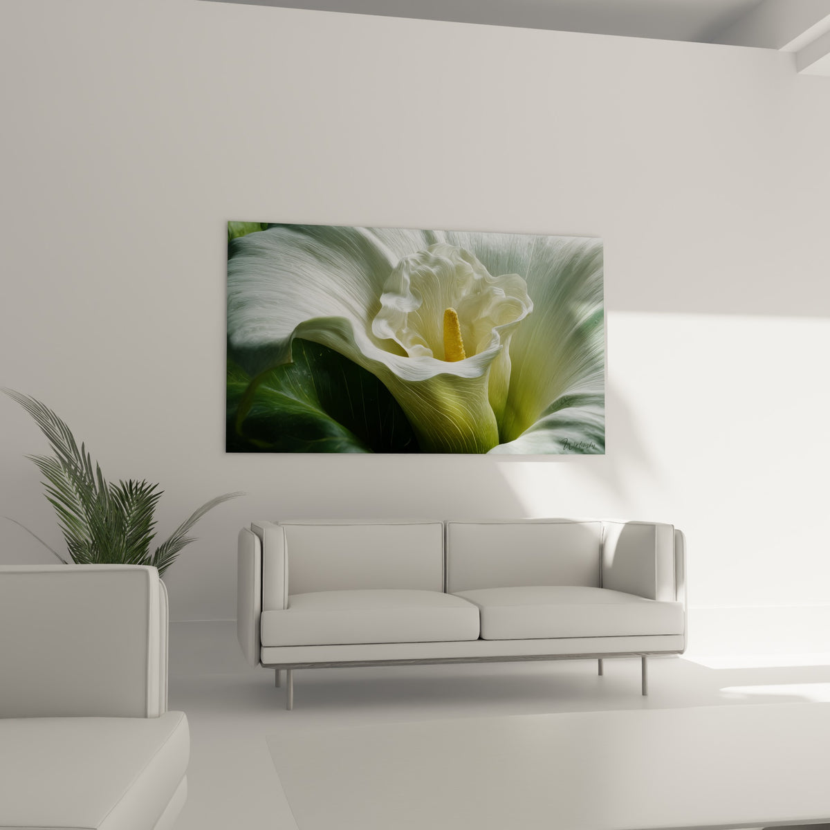 Pétale d'arum blanc et feuille verte profonde, disposés au-dessus d'un canapé dans un salon lumineux