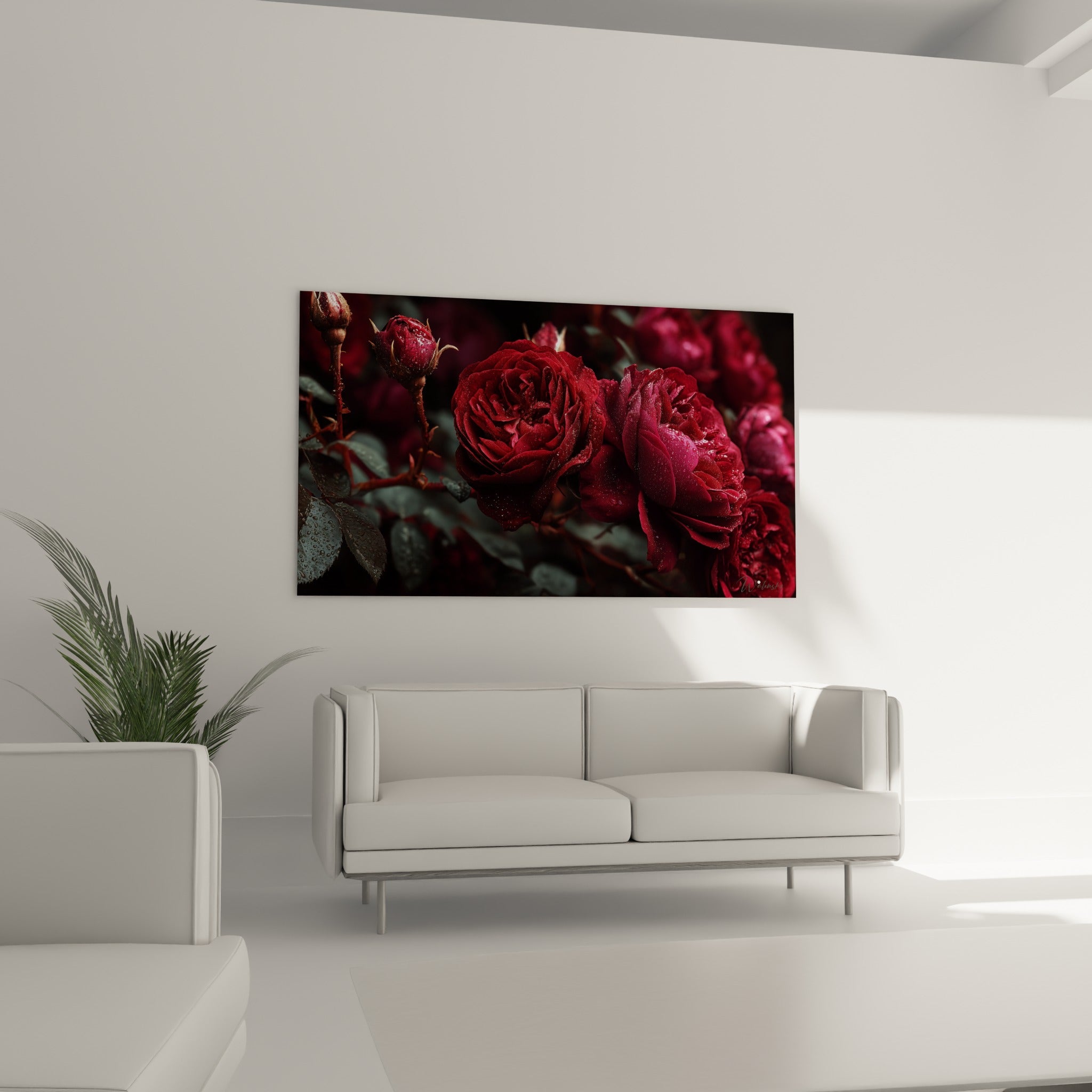 Fleurs rouges profondes aux pétales satinés et gouttelettes visibles, au-dessus d'un canapé dans un salon lumineux