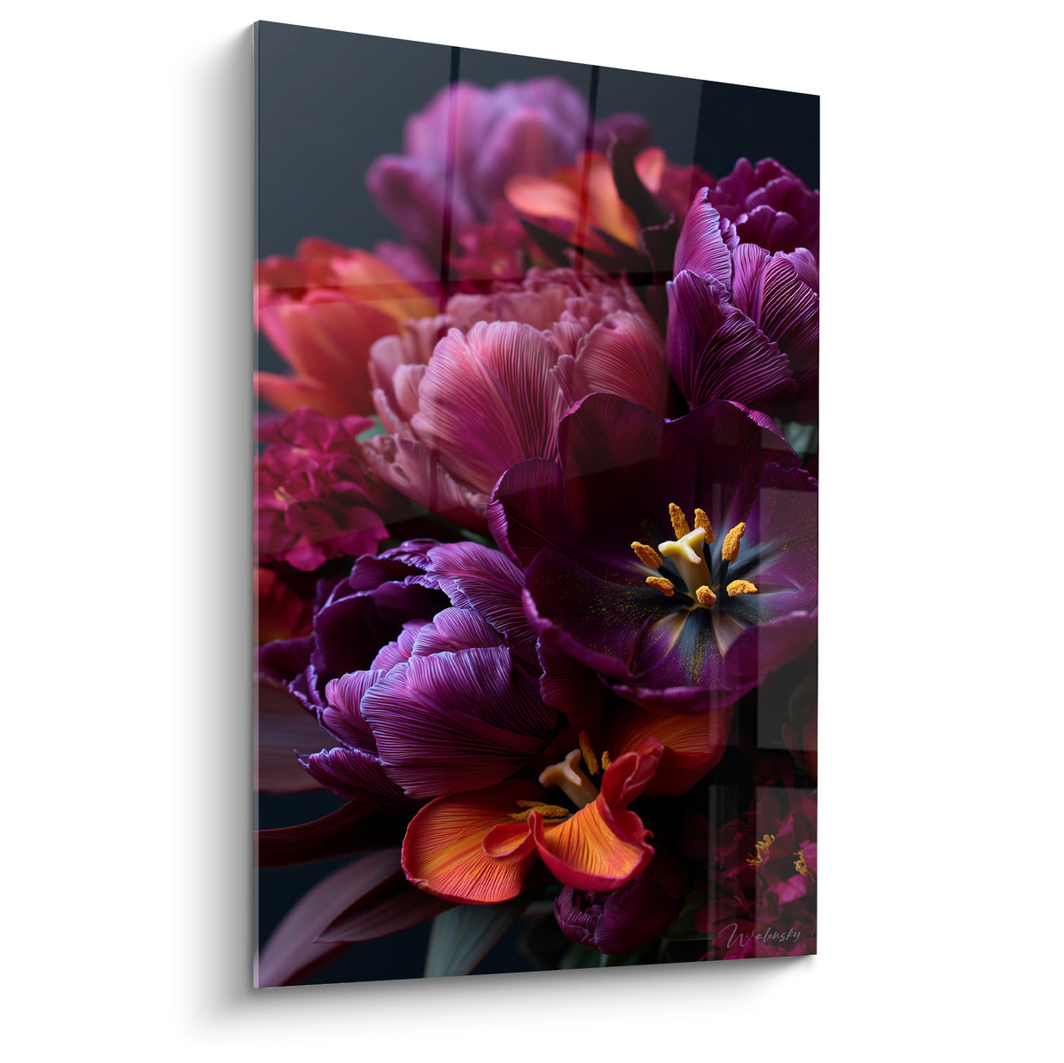 Tulipes violettes et orangées en pleine floraison sur fond anthracite, style photographique intense