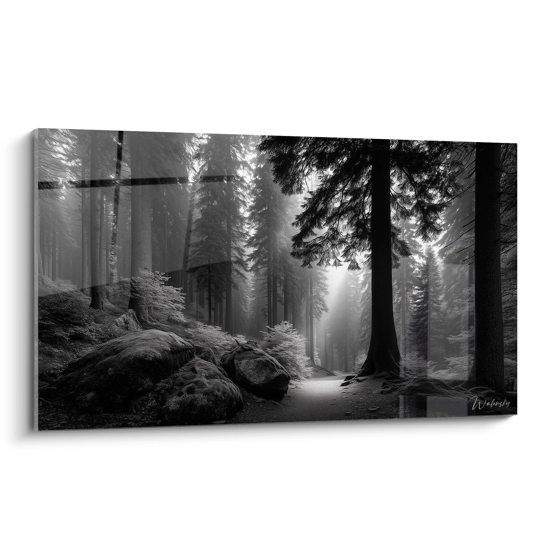 Tableau forêt brumeuse noir et blanc avec arbres majestueux et sentier mystérieux dans la brume matinale