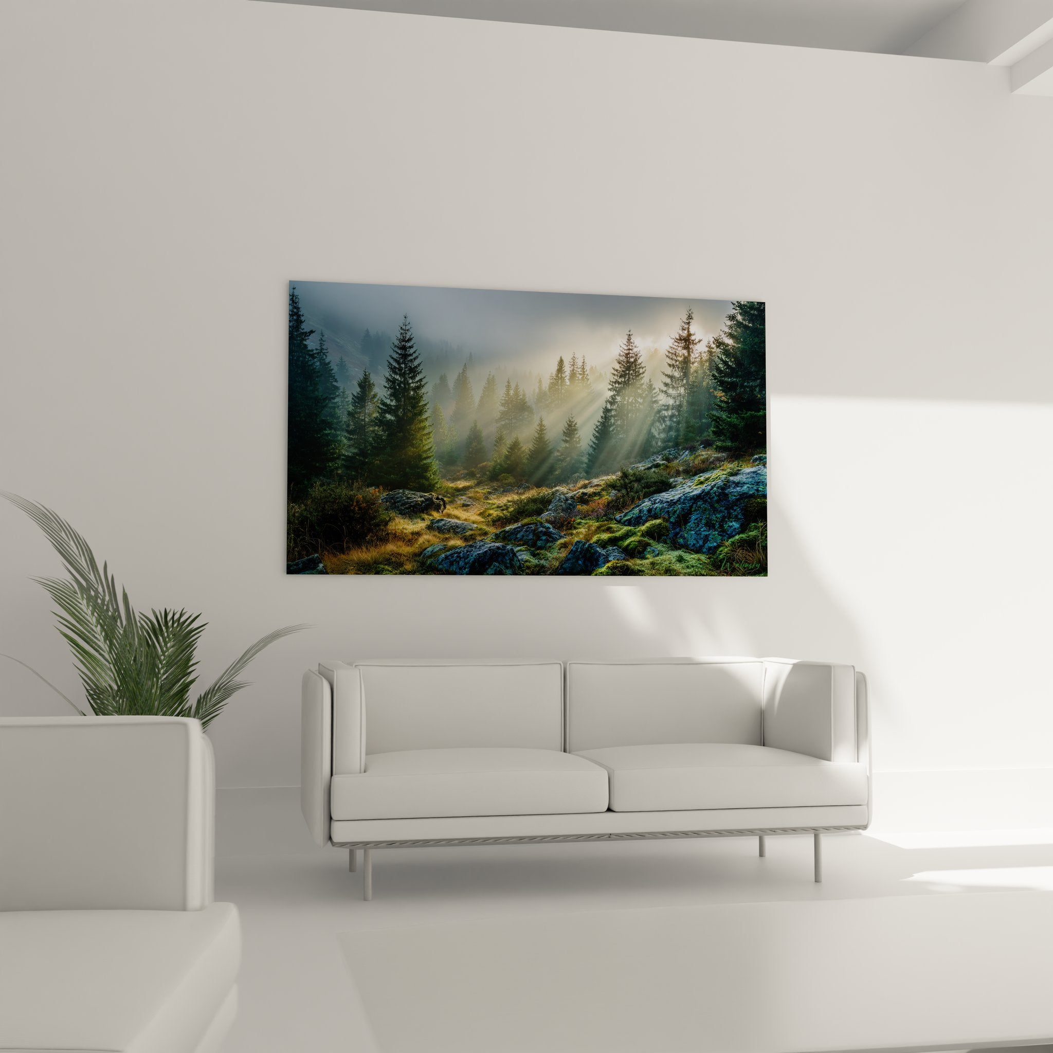 Gros plan tableau forêt détails rayons lumineux brume matinale entre conifères