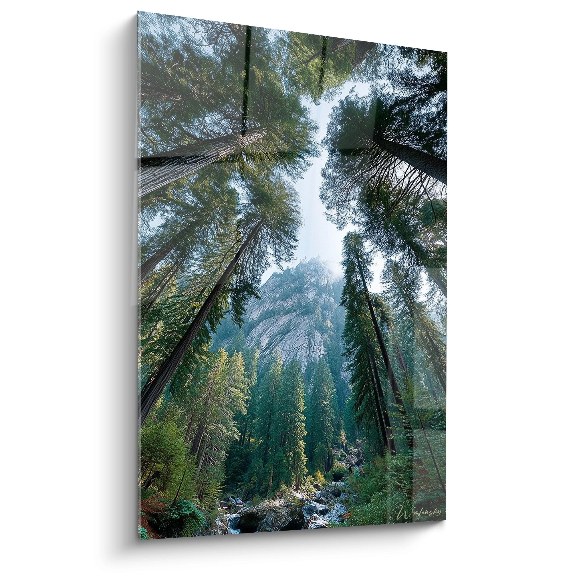 Tableau mural forêt conifères perspective verticale avec troncs géants et montagne brumeuse arrière-plan