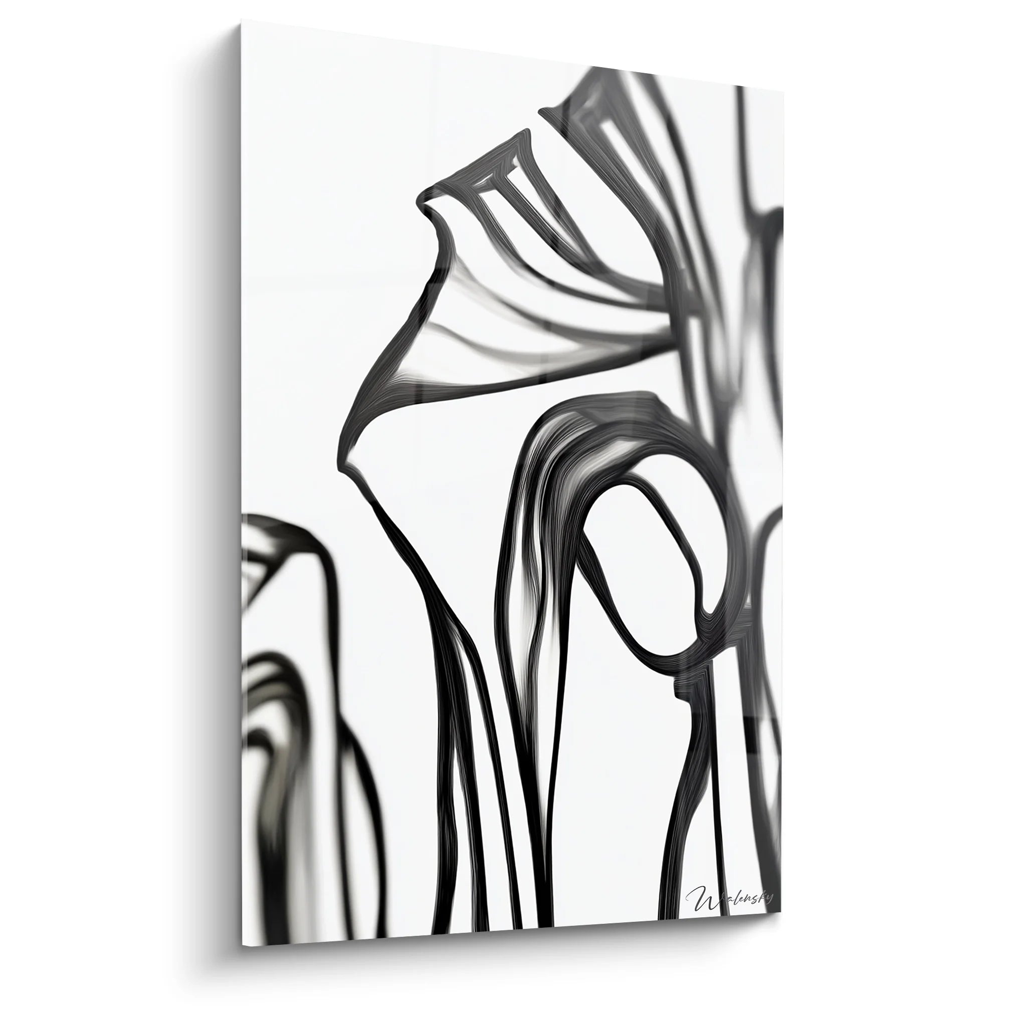 Tableau formes fluides abstraites noir blanc ondulations graphiques art moderne