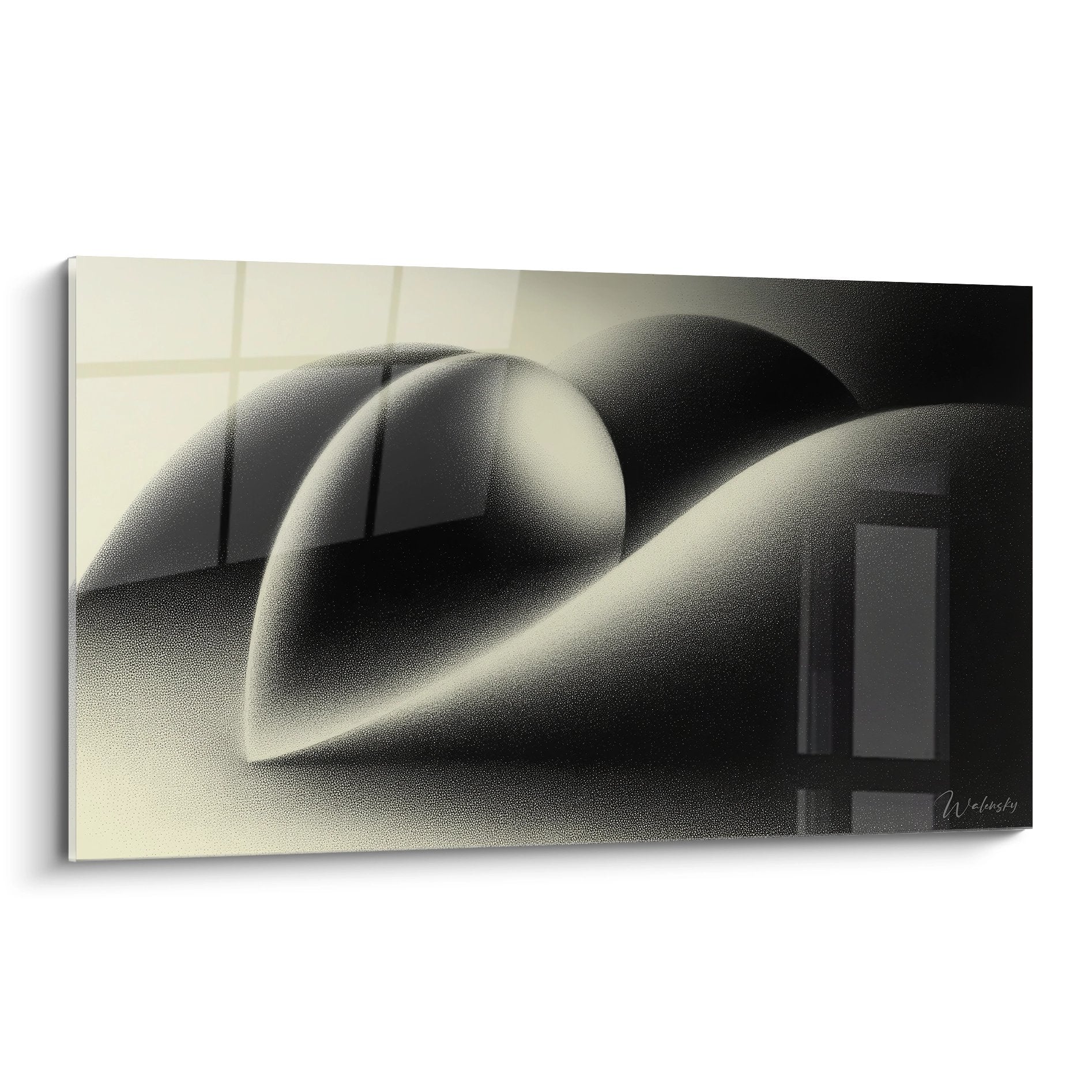 Tableau mural formes organiques abstraites noir et blanc courbes sensuelles art contemporain