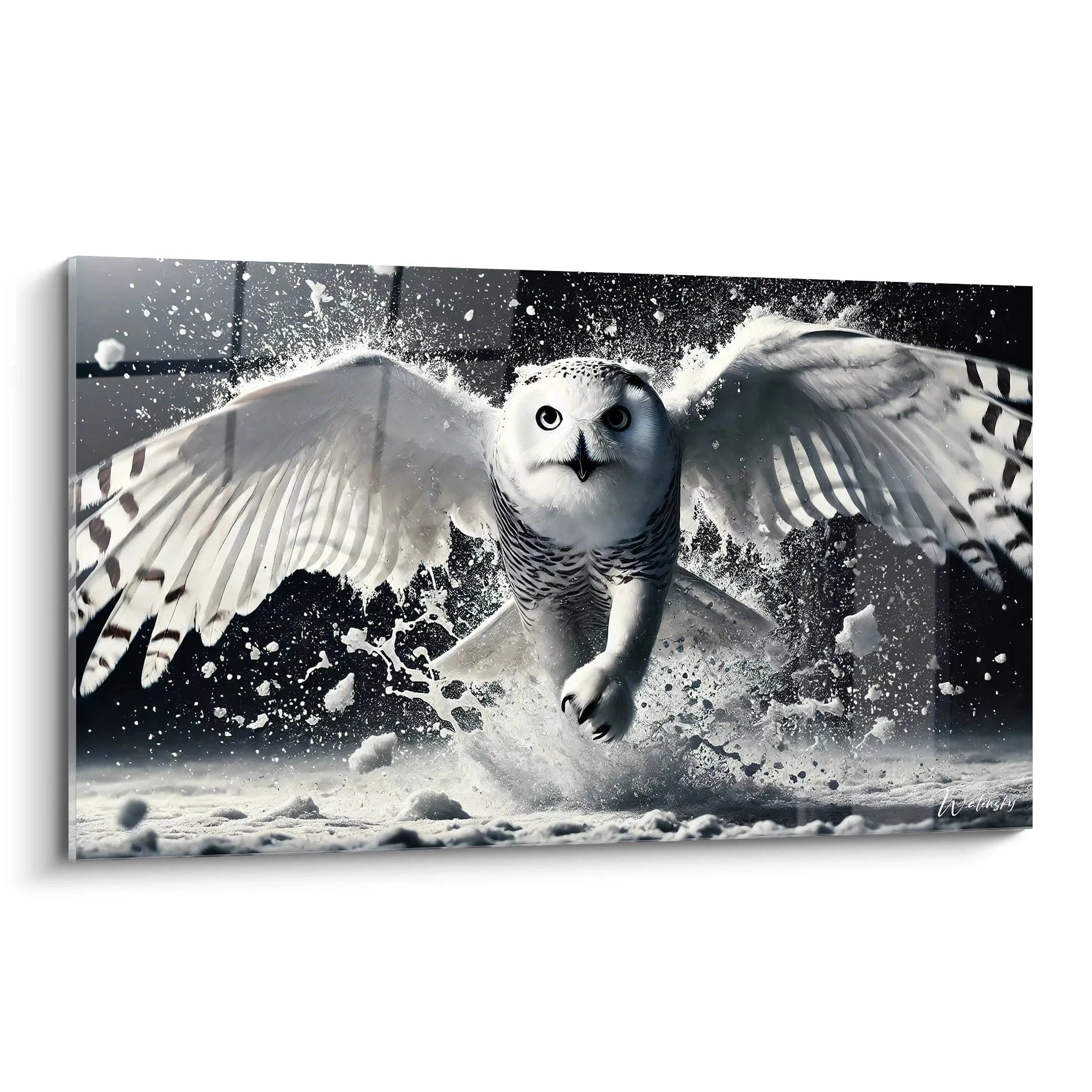 Tableau chouette en plein vol, representation dynamique de la nature sauvage avec des details saisissants. Ideal pour decor contemporain, ajoutant grace et puissance a votre espace.