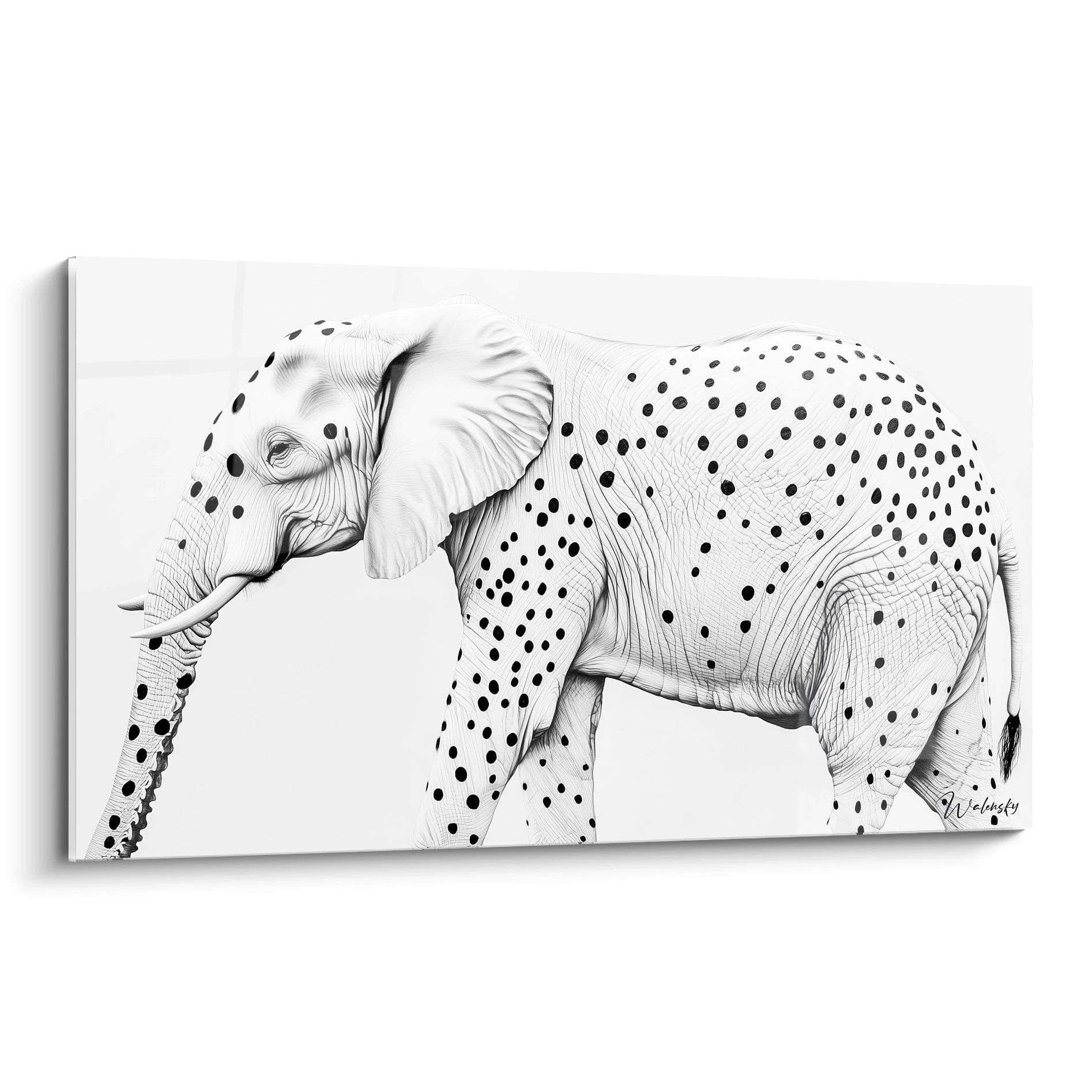 Tableau noir et blanc d'un éléphant avec des pois, œuvre de Walensky pour une décoration moderne