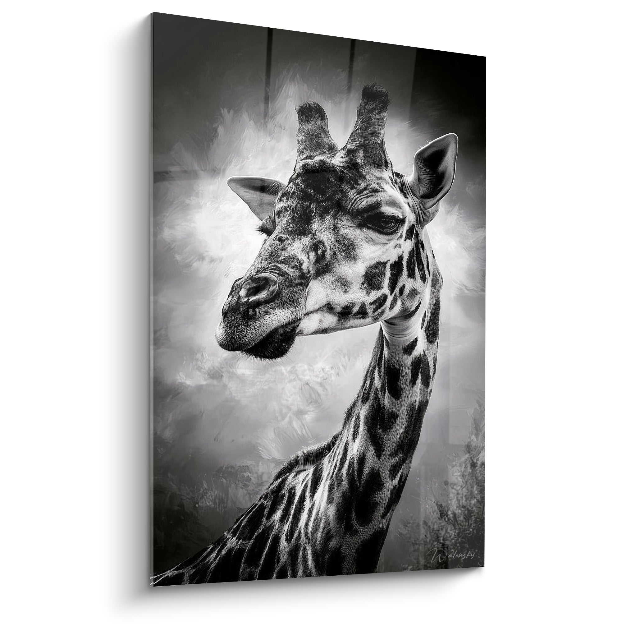 Girafe en noir et blanc au regard intense, pelage tacheté anthracite et blanc lumineux