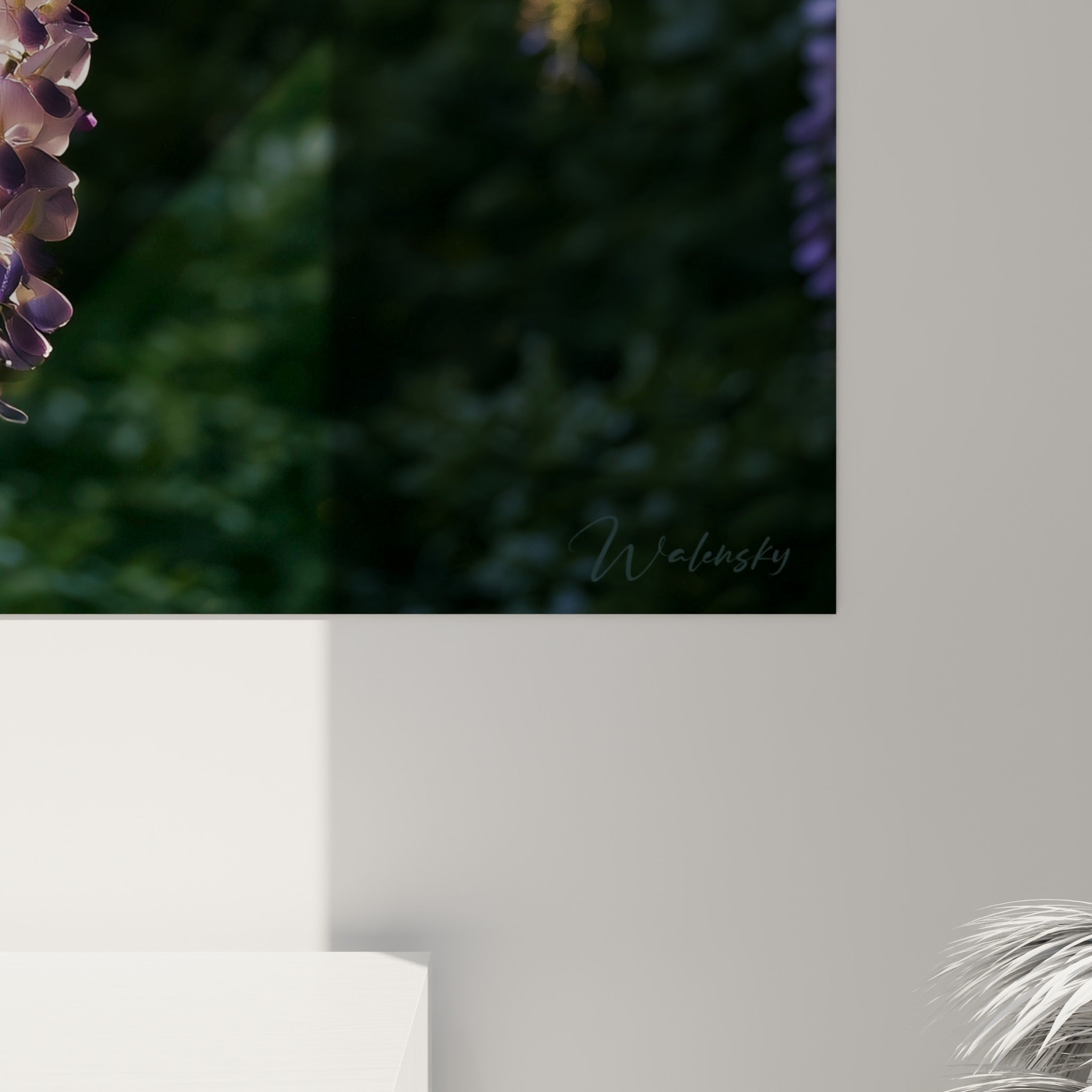 Détail des pétales de glycine mauve et blanc cassé révélant la finesse du grain et les nuances de lumière