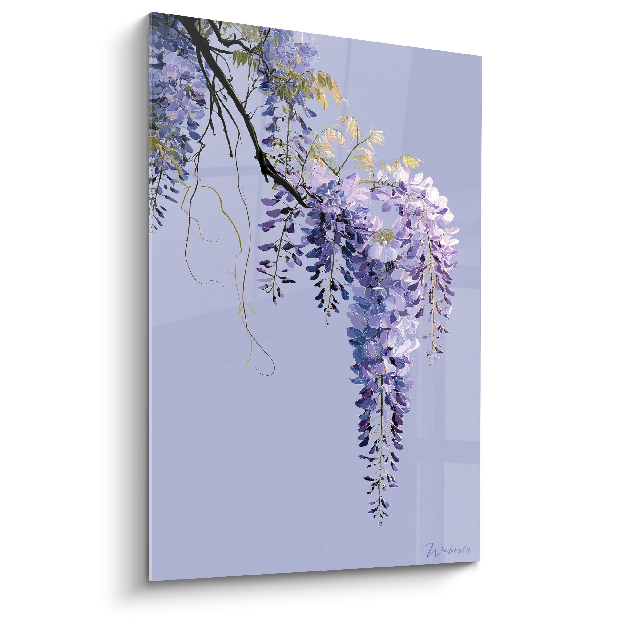 Glycine aux grappes violettes et lilas suspendues sur fond lavande pâle, branche noire sinueuse