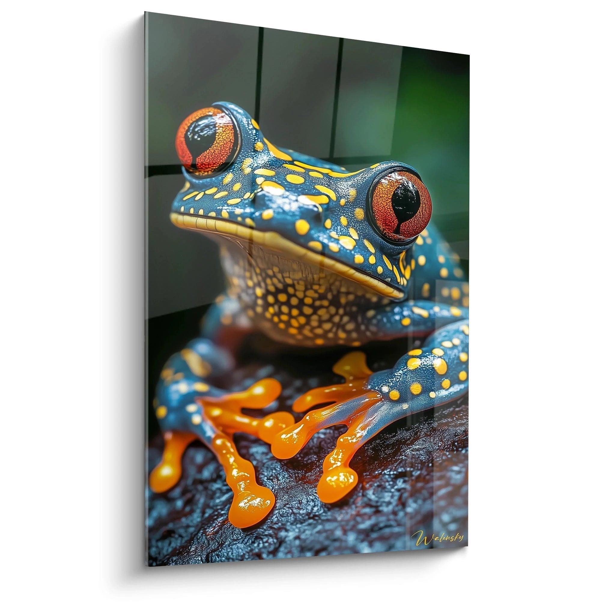 Tableau grenouille représentant un amphibien tropical bleu à taches jaunes avec des yeux rouges saisissants et des pattes orangées aux membranes translucides, perché sur une surface humide dans un cadrage serré sur fond sombre.