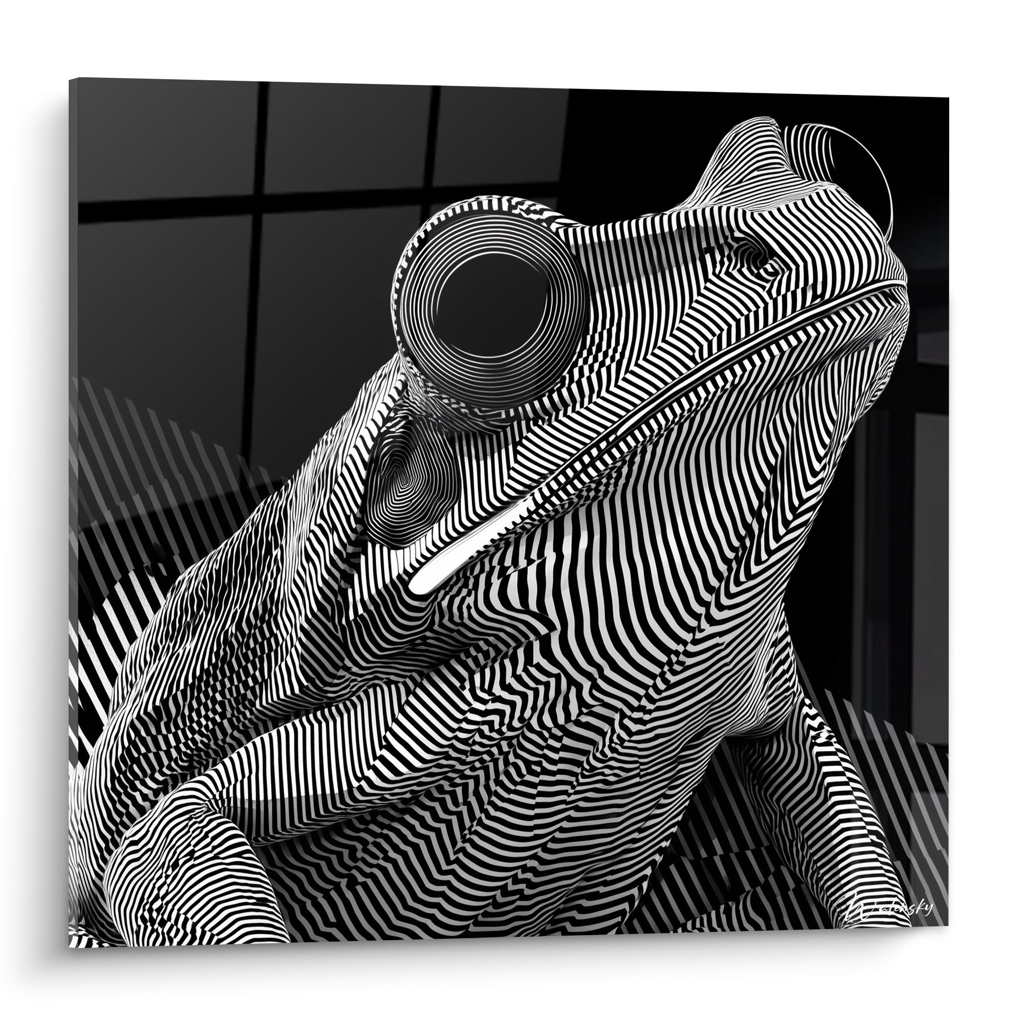Grenouille en rayures noires et blanches, œil spiralé, style optique hypnotique
