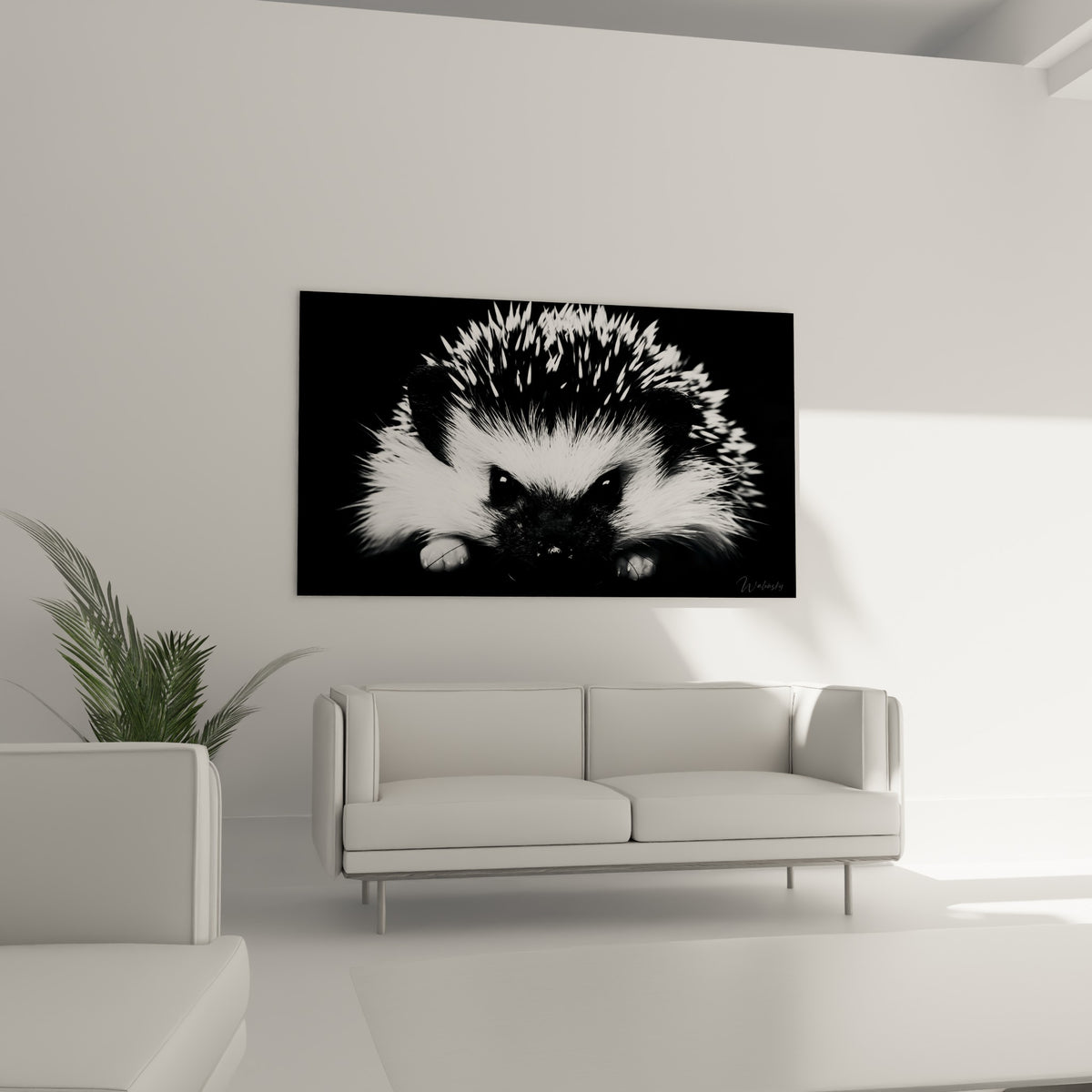 Museau noir et yeux sombres d'un hérisson aux piquants blancs, disposé au-dessus d'un canapé dans un salon lumineux