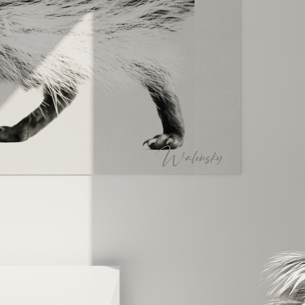 Détail des piquants dressés en noir et blanc, coupés par un aplat rouge intense visible de près sur la toile