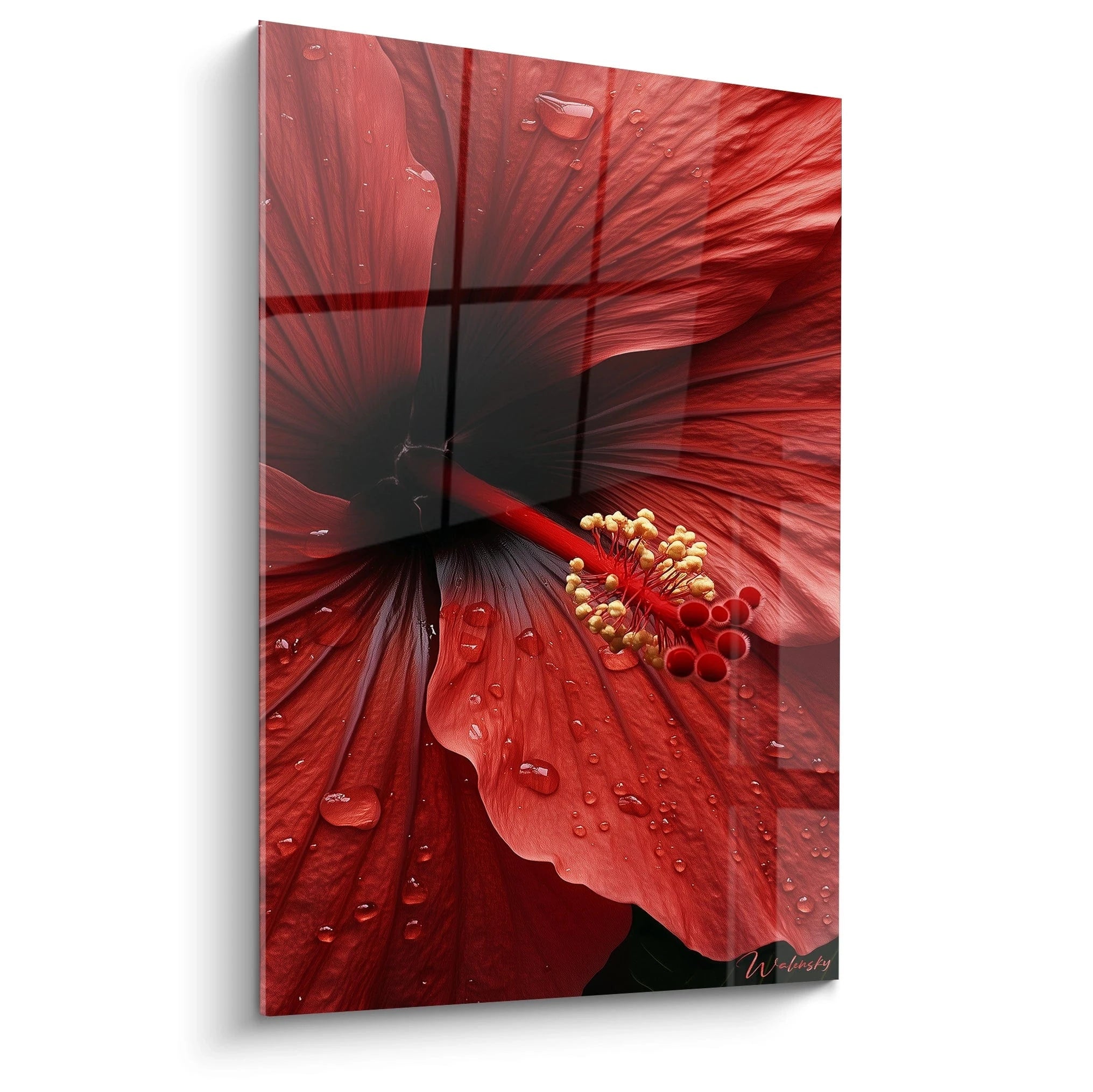 Un tableau Hibiscus nature reprĂ©sentant un gros plan dâune fleur rouge aux pĂ©tales texturĂ©s, avec des gouttes dâeau et un cĆur noir contrastĂ©, accompagnĂ© dâĂ©tamines jaunes aux dĂ©tails prĂ©cis.