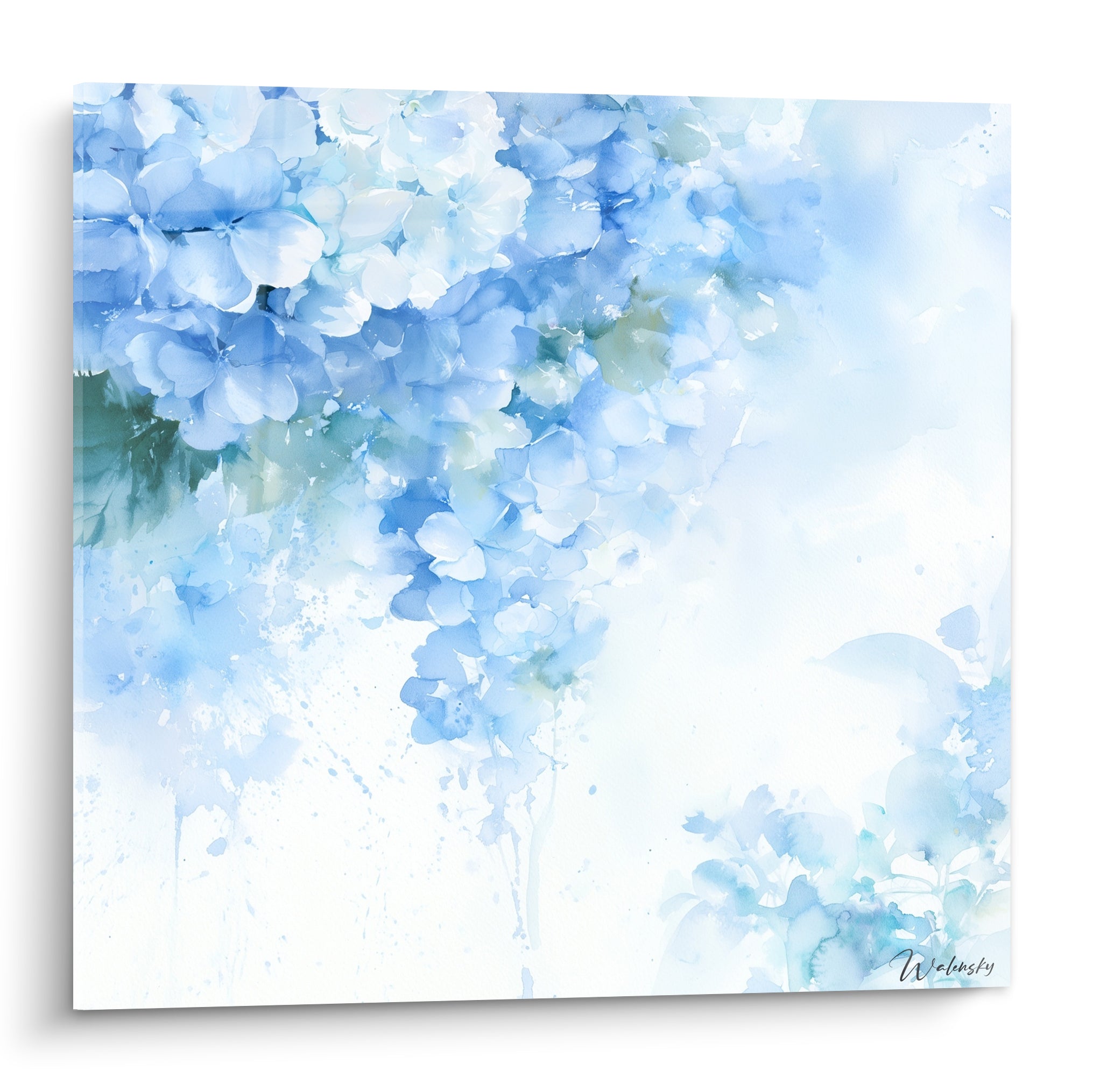 Hortensias bleu ciel et blanc en aquarelle, grappe florale avec coulures et éclaboussures picturales