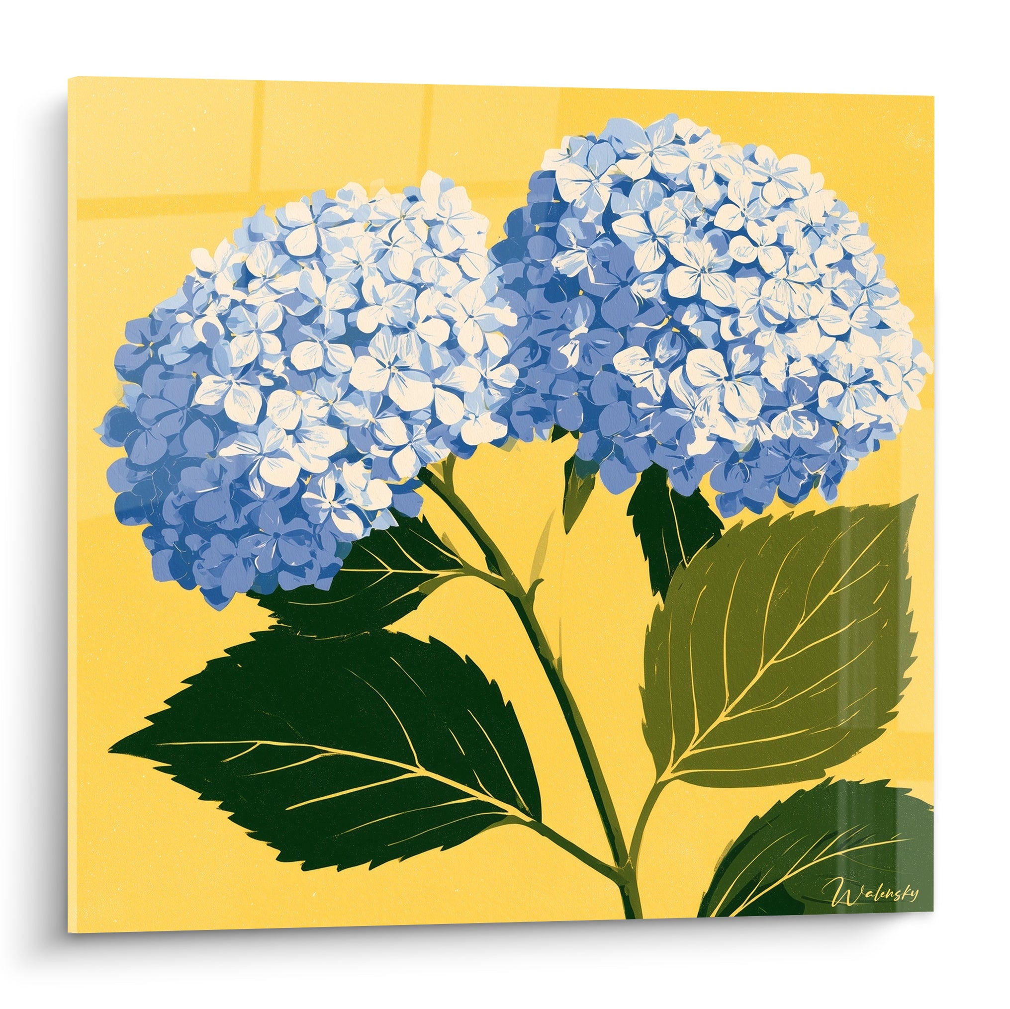 Hortensia bleu pastel et blanc sur fond jaune vif, feuillage vert émeraude, style graphique épuré