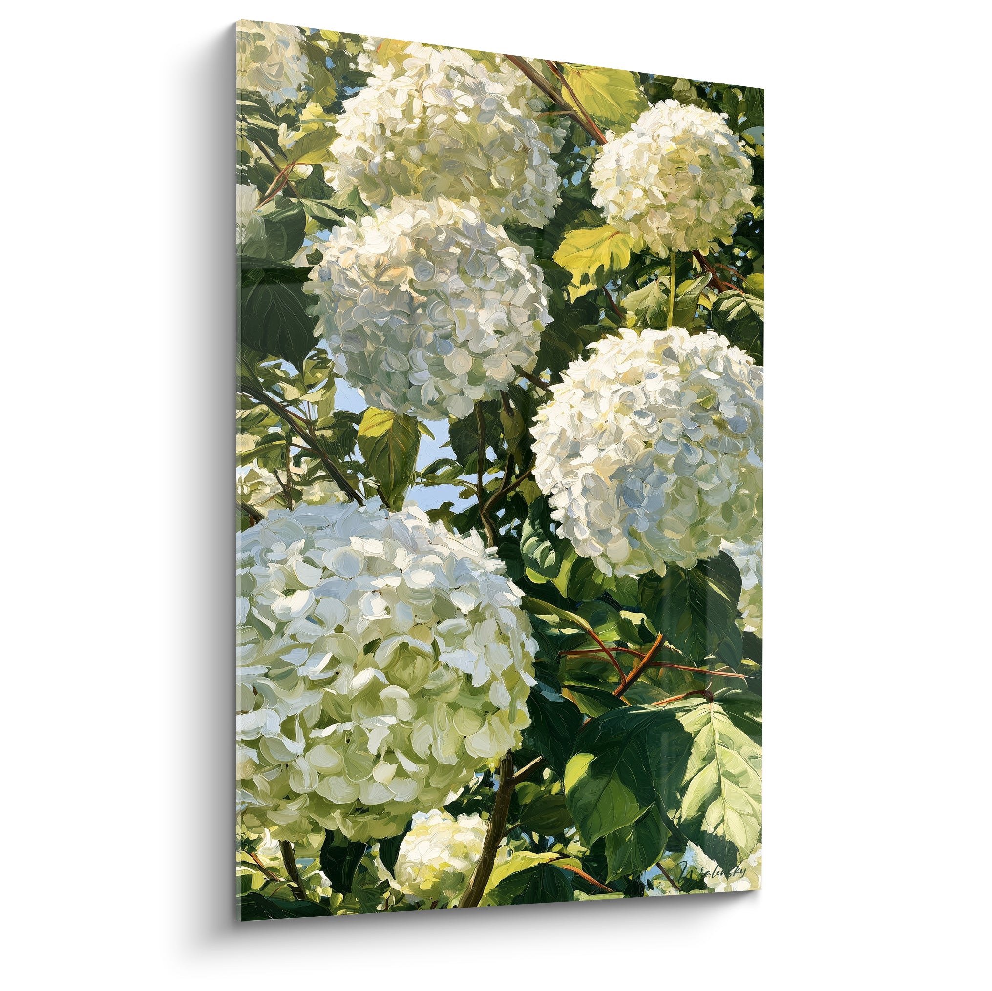 Hortensia aux pétales blancs et feuillage vert olive, touches picturales épaisses et lumineuses