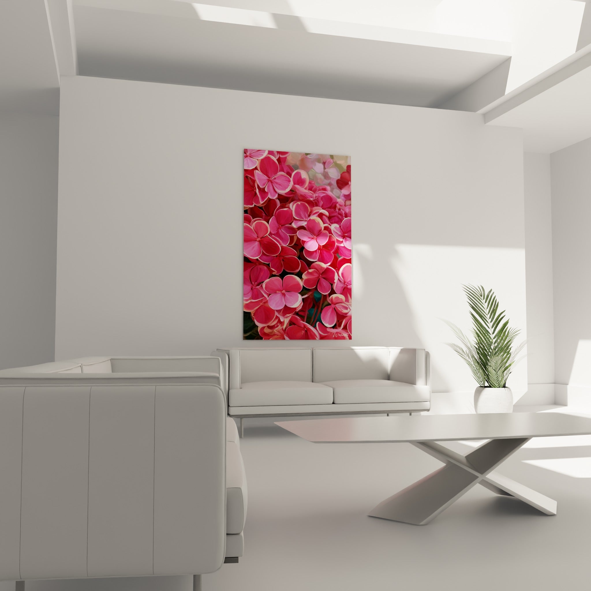 Fleurs d'hortensia fuchsia et blanc crème disposées au-dessus d'un canapé dans un salon lumineux