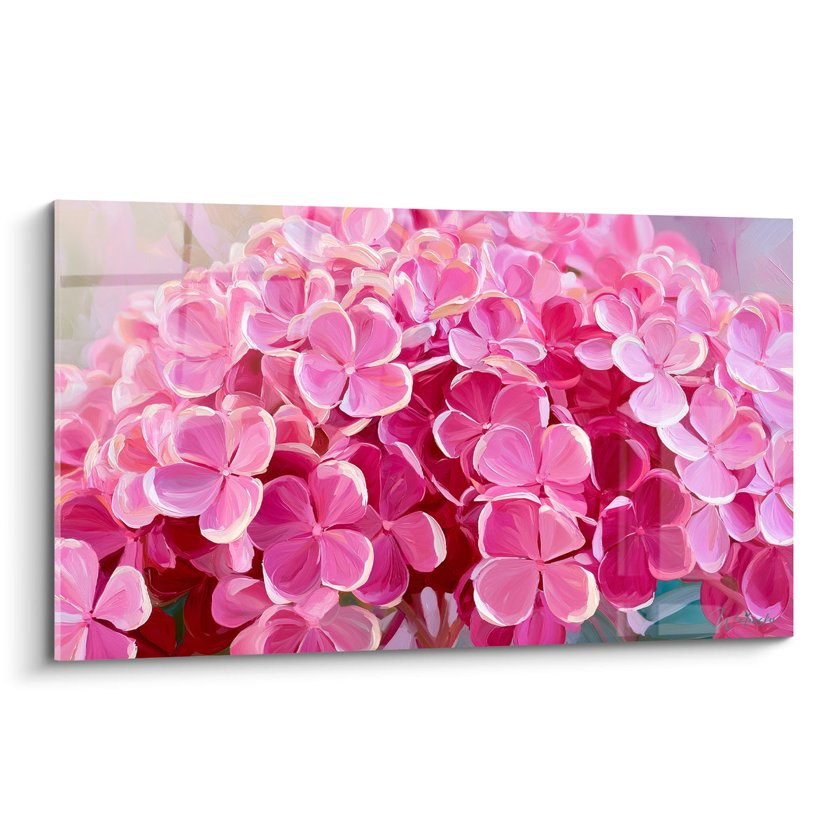 Hortensias roses et blancs peints en grappe dense, pétales veloutés éclairés en pleine lumière