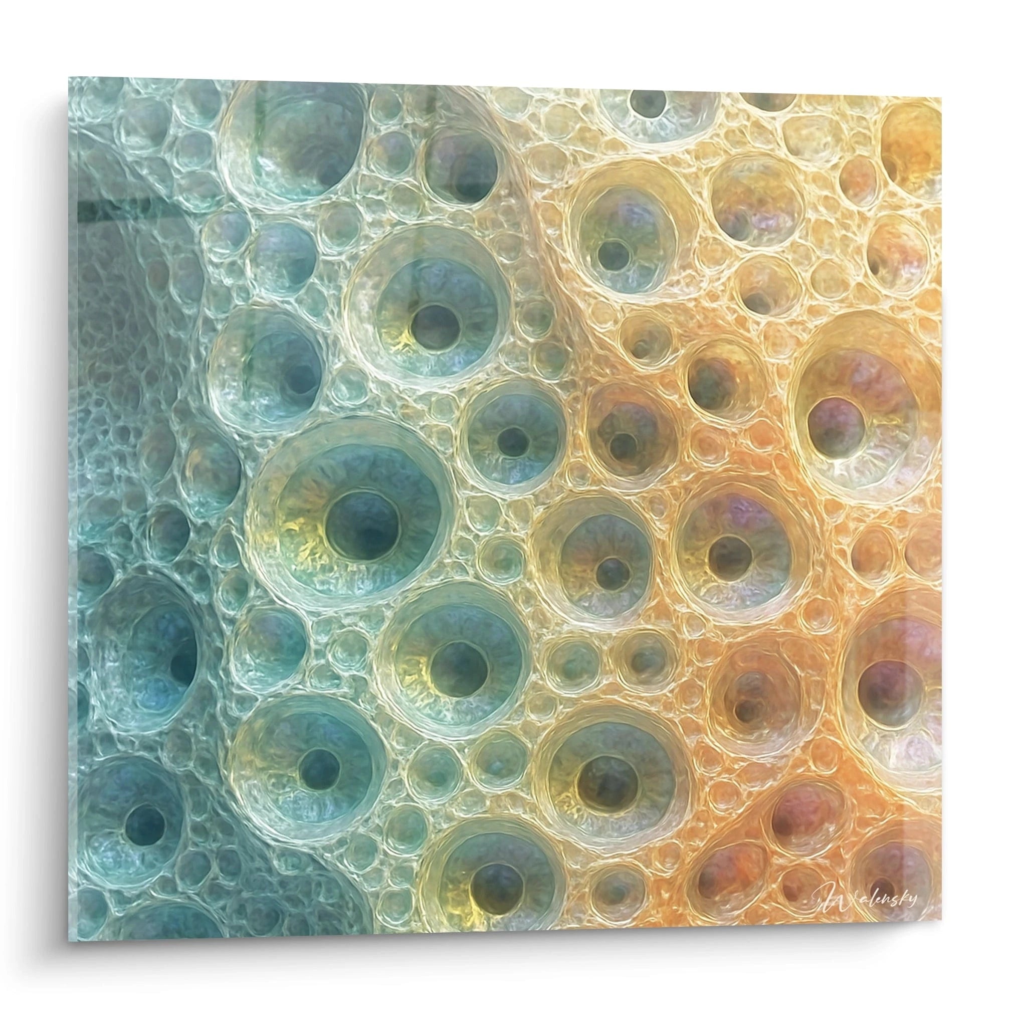 Un tableau relief cellulaire présentant des formations circulaires translucides, avec une transition de couleurs allant du bleu-vert à gauche vers des tons dorés et ambrés à droite, créant un effet de profondeur et de texture tridimensionnelle semblable à des structures organiques.