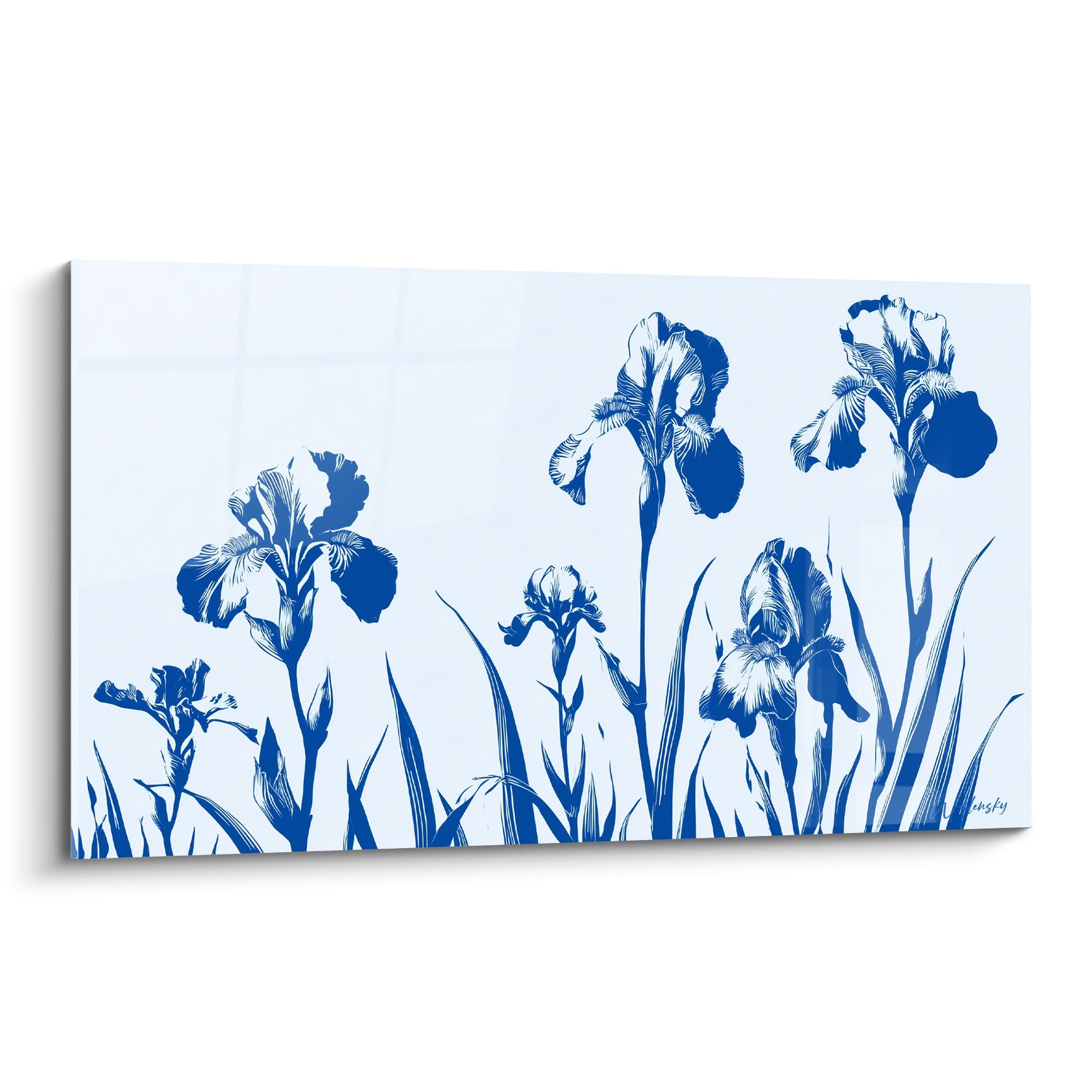 Iris bleu marine aux pétales graphiques déployés sur fond clair, style gravure botanique