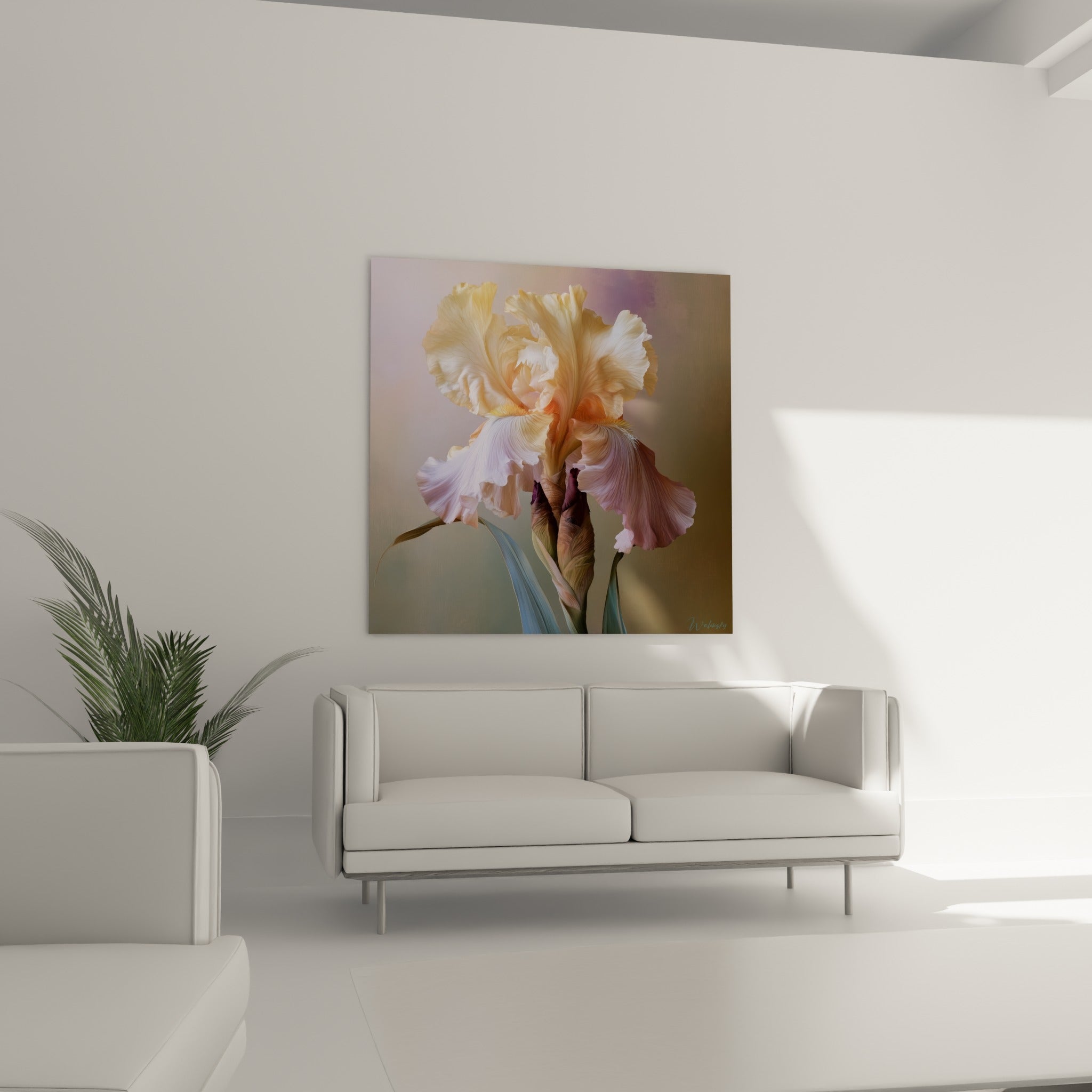 Pétales d'Iris crème et rose corail finement veinés, installés au-dessus d'un canapé dans un salon lumineux.