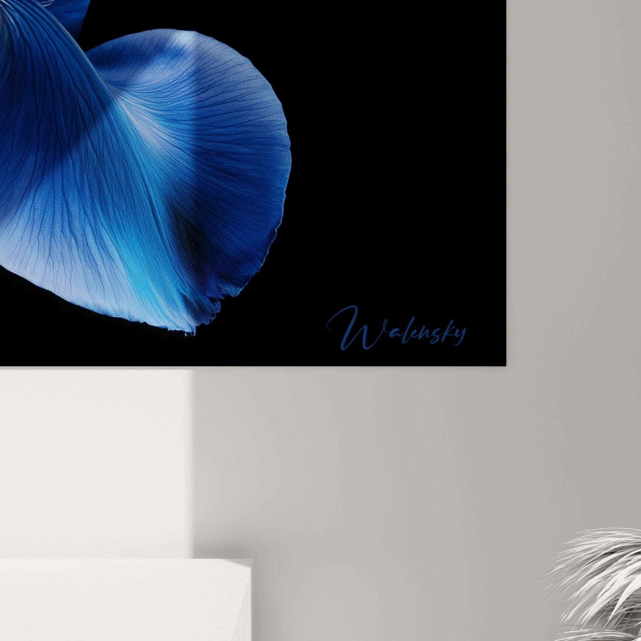 Détail des pétales satinés bleu nuit de l'iris révélant les reflets dorés et le grain de l'impression