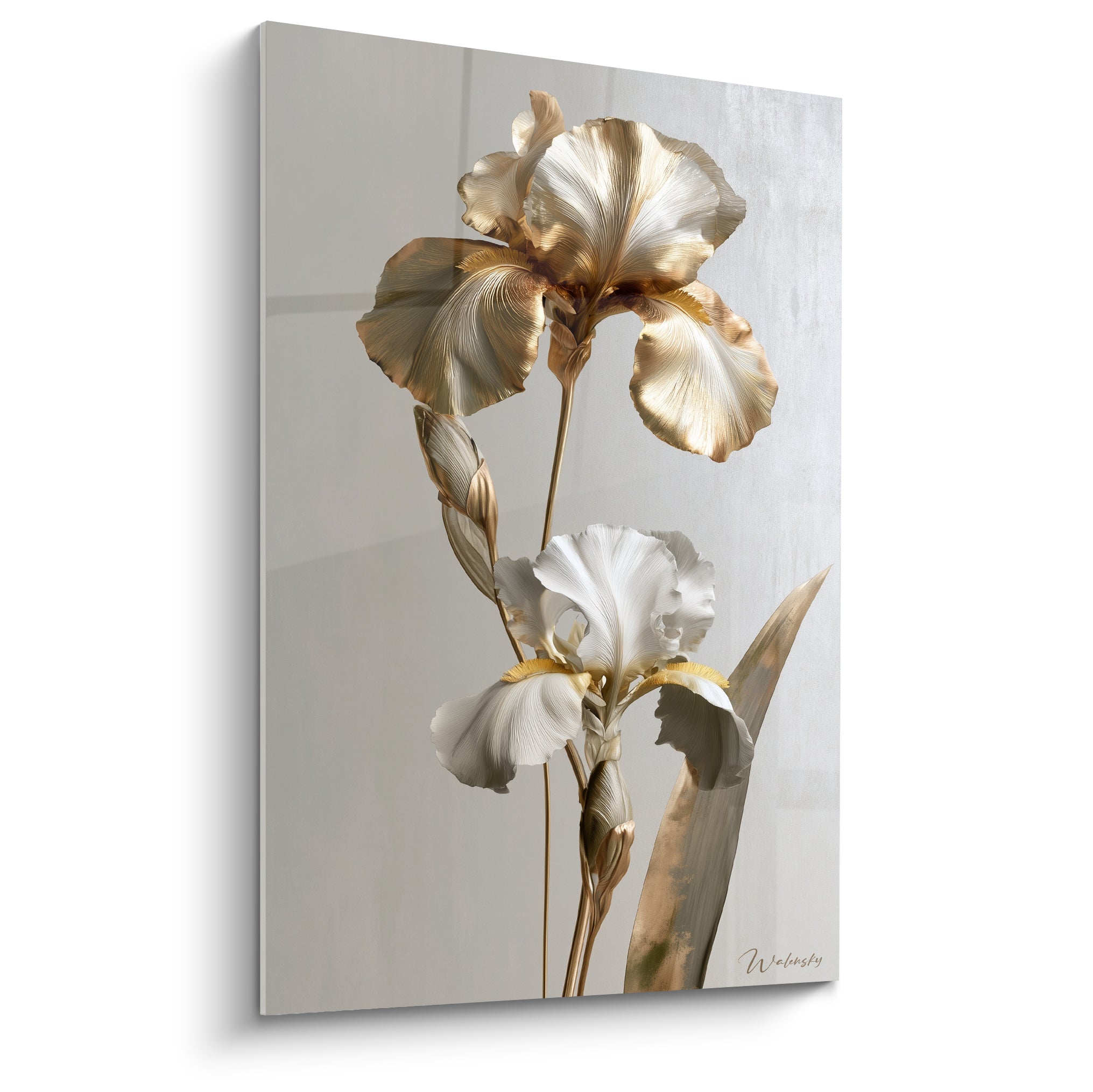 Iris blanc et doré aux pétales veinés, tige fine sur fond gris texturé