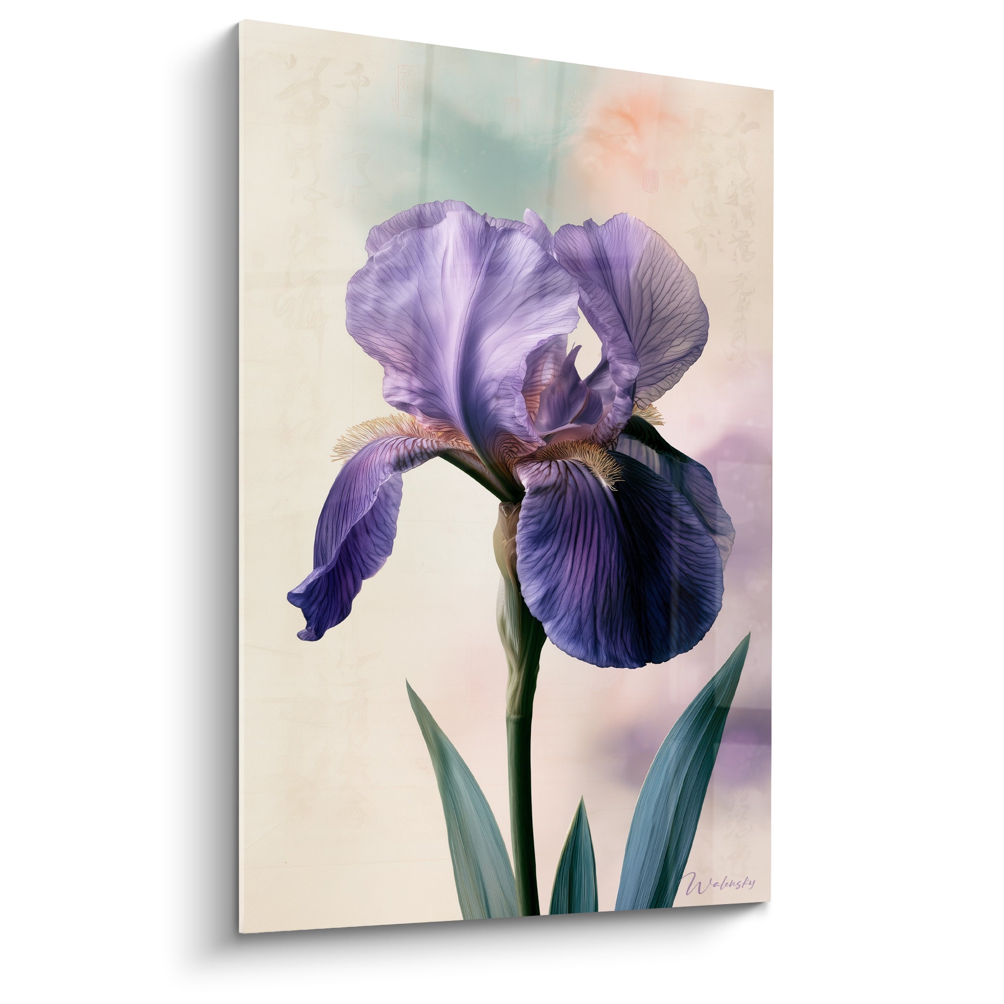 Iris violet aux pétales veinés et feuilles vert sauge, sur fond ivoire calligraphié