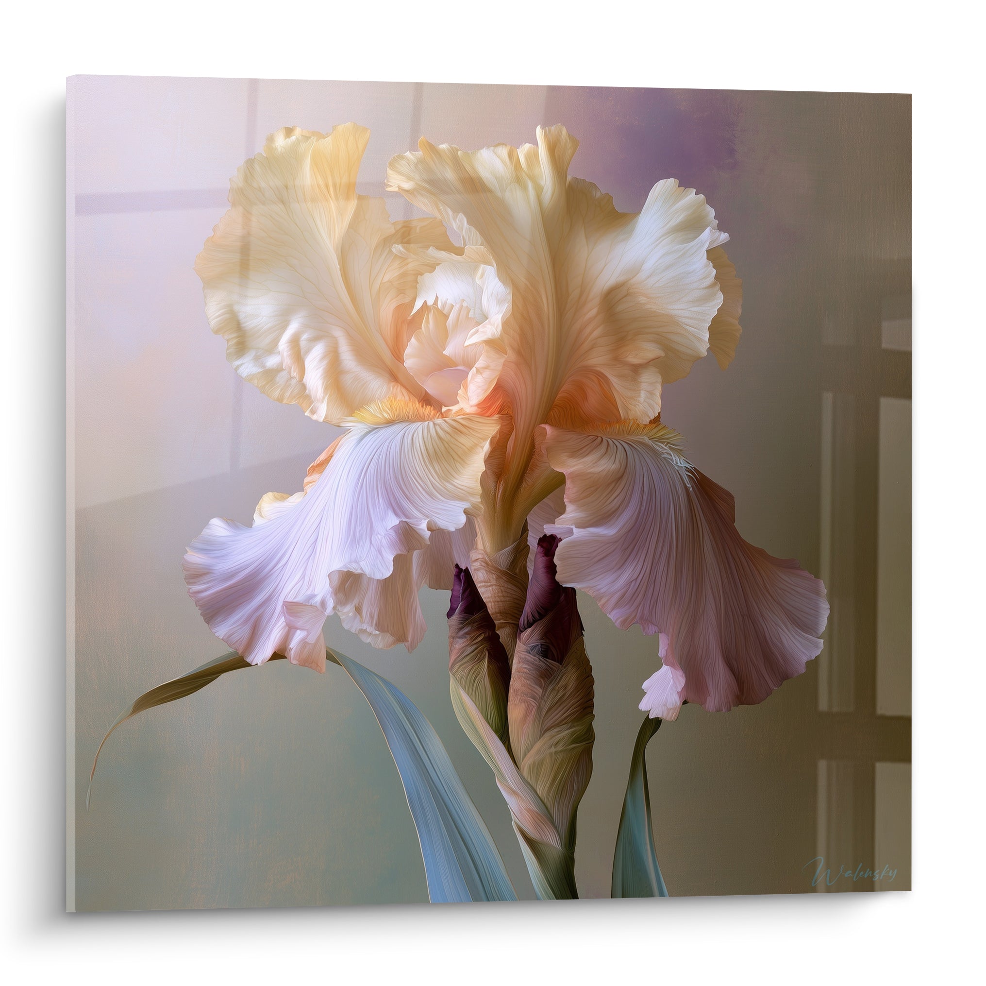 Iris ivoire aux pétales roses poudrés déployés, nervures fines et fond beige texturé.