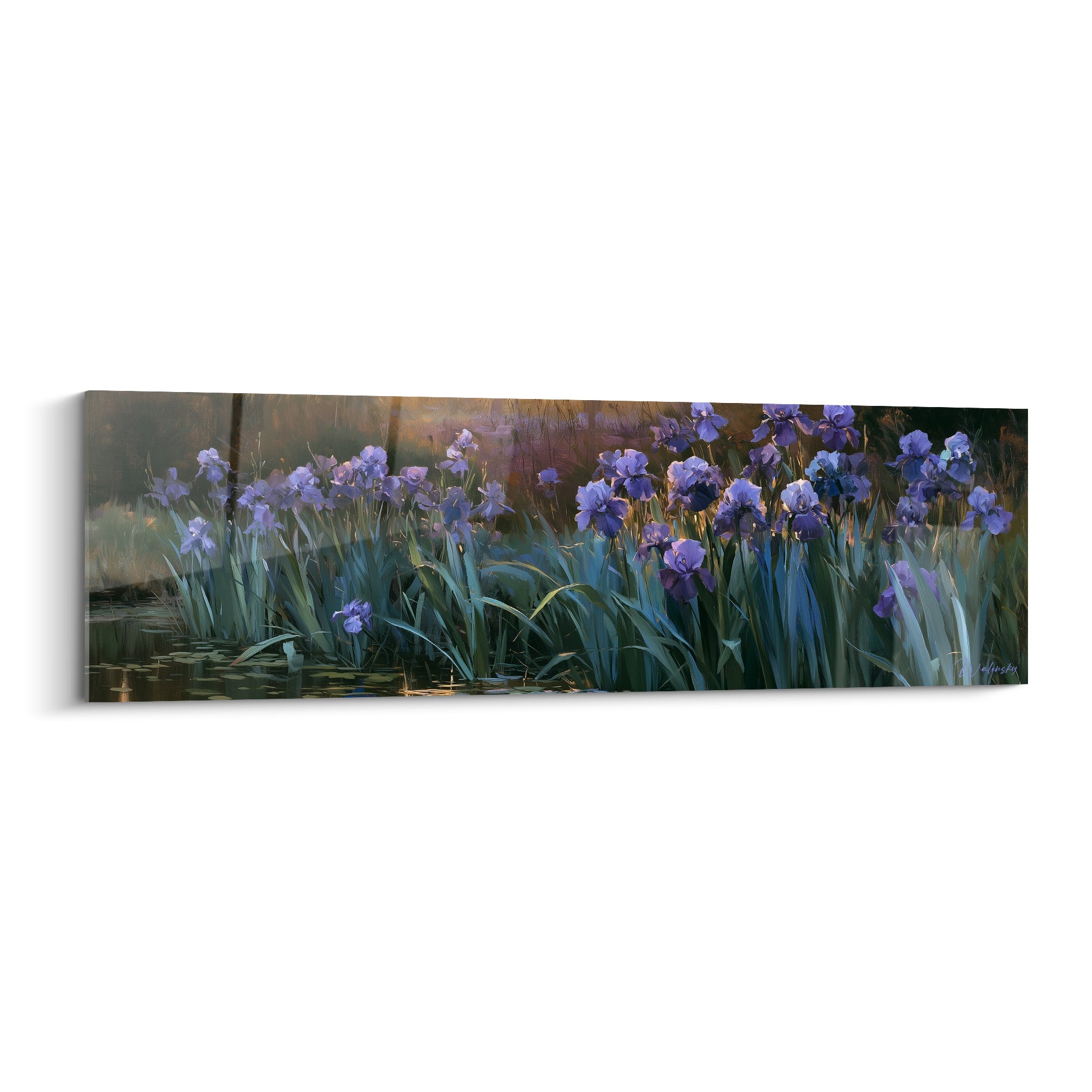 Iris mauve et violet foncé en pleine floraison au bord d'un étang doré