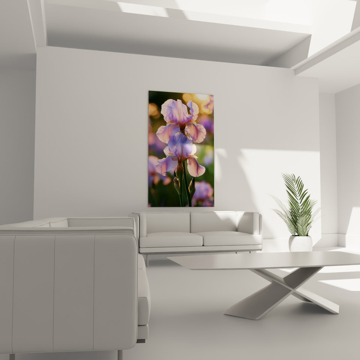 Pétales d'iris rose et violet, tiges vertes, au-dessus d'un canapé dans un salon lumineux