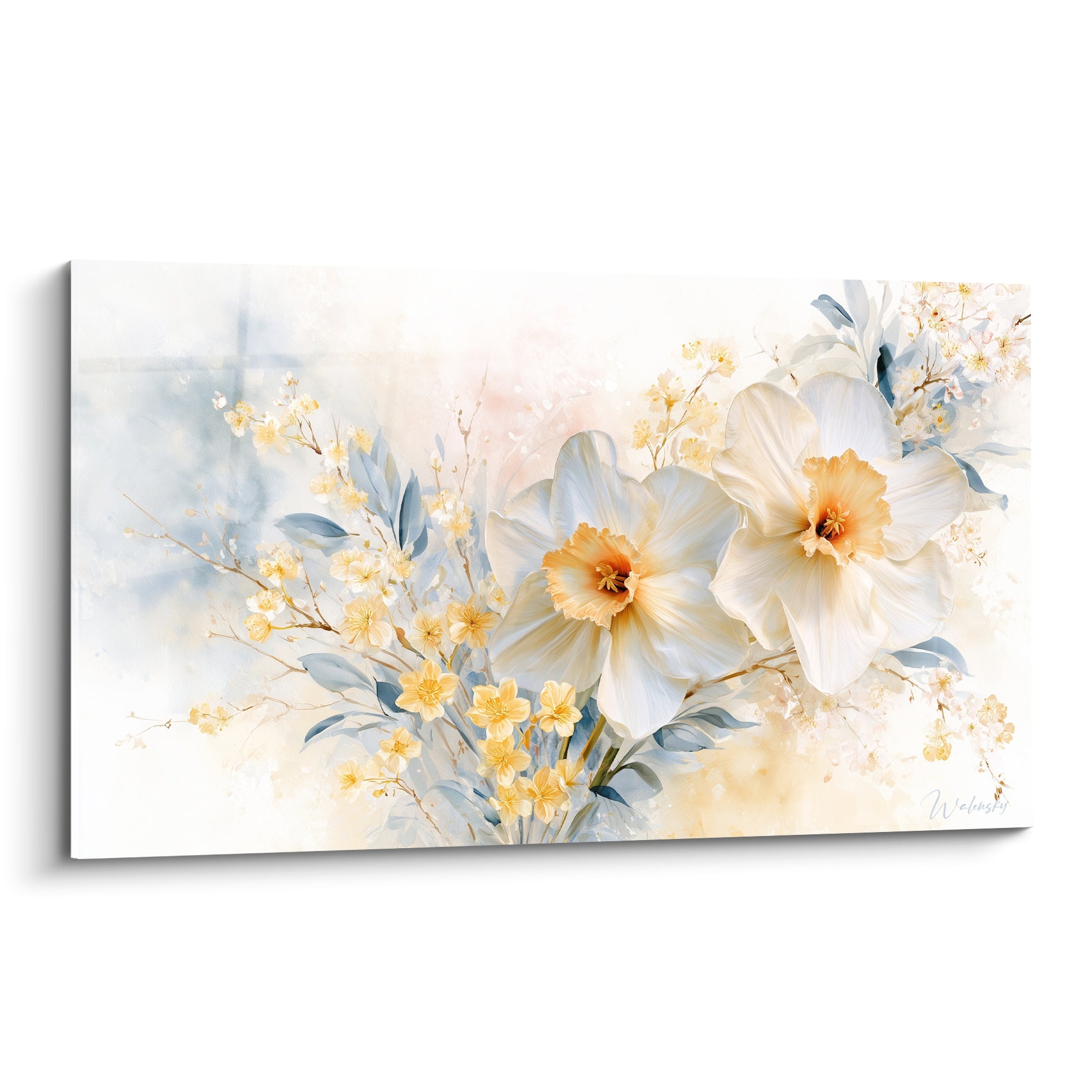 Jonquilles blanches aux coeurs orangés peintes en aquarelle sur fond bleu et crème poudré
