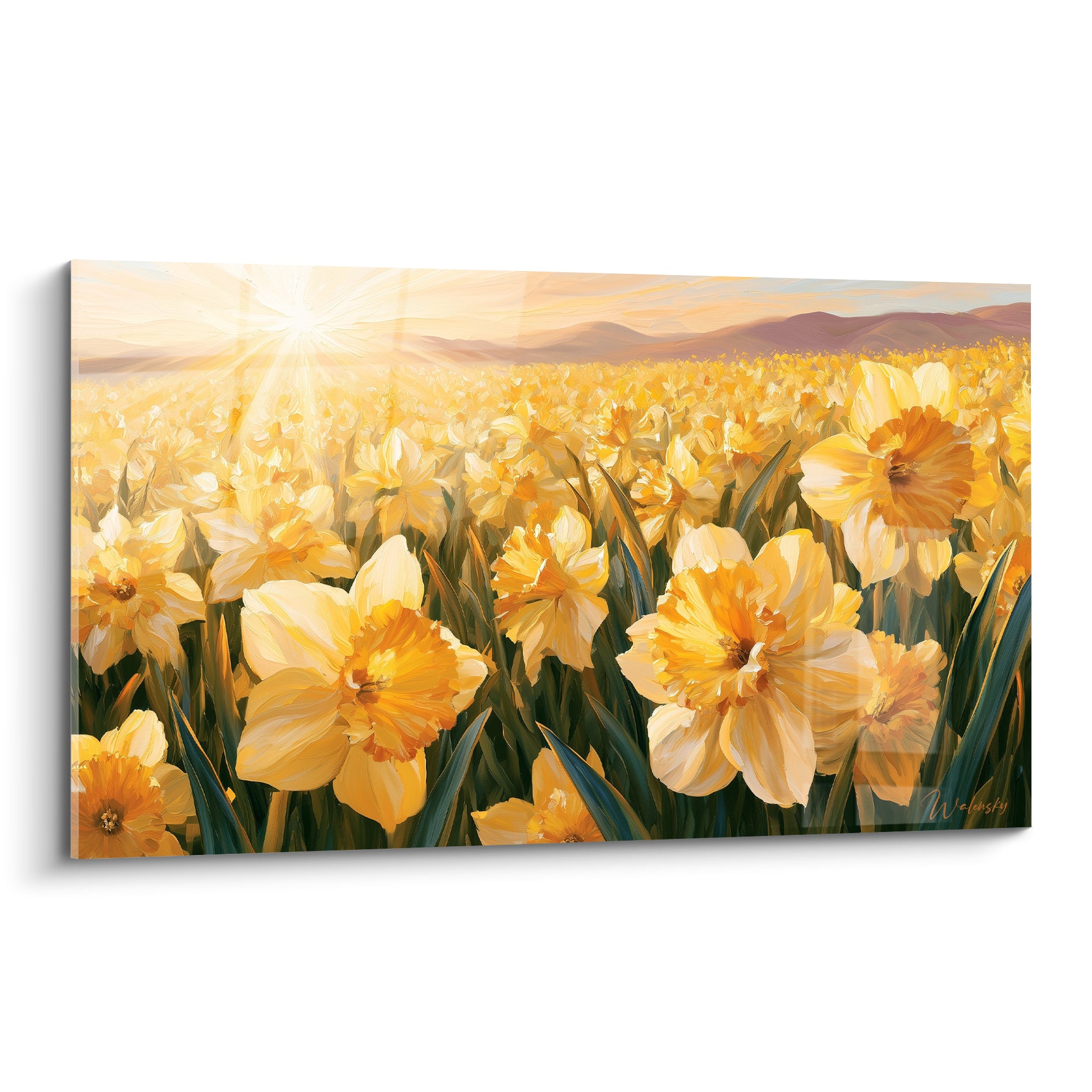 Jonquilles jaune et orangé peintes en gros champ sous un soleil éclatant et collines mauves