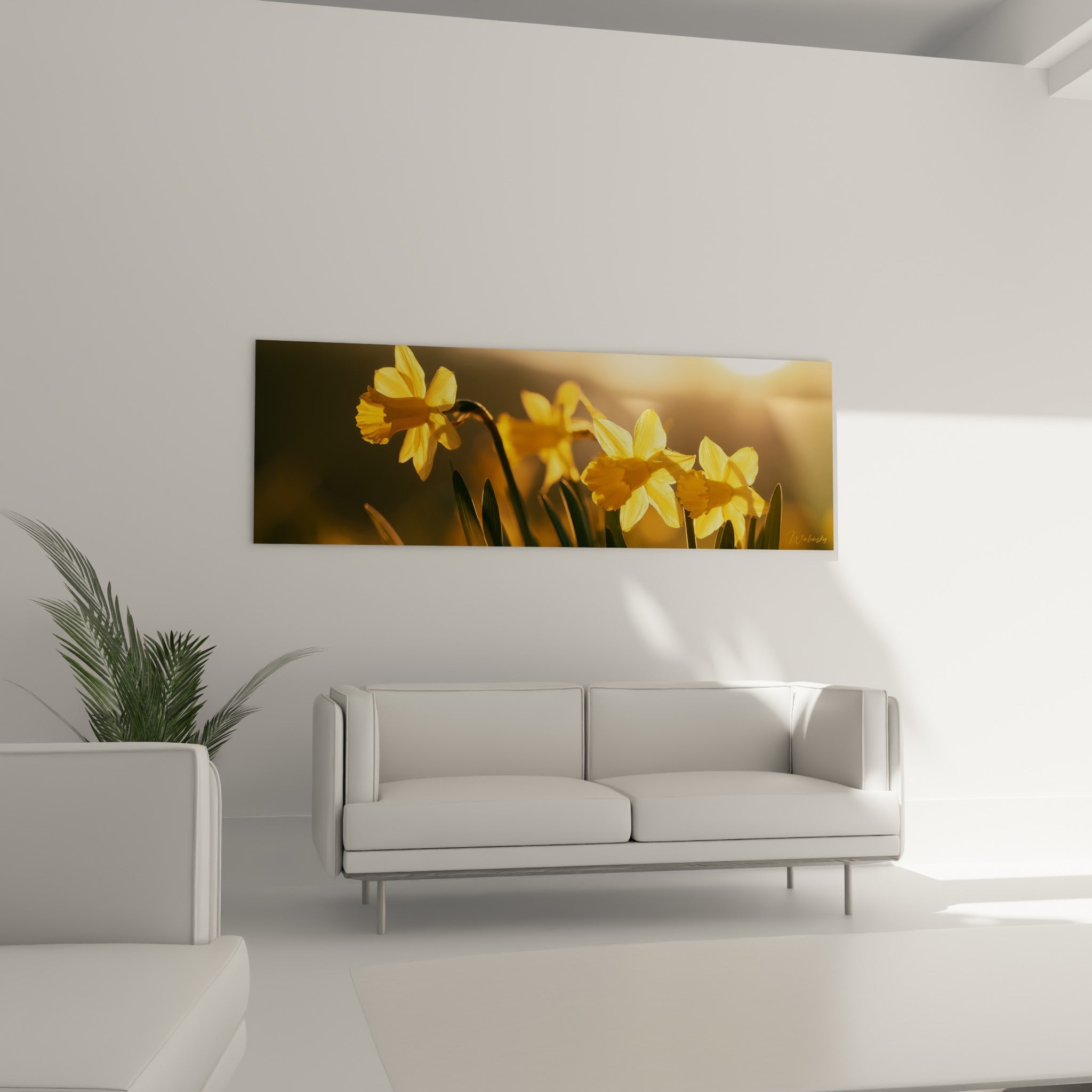 Pétales de jonquille dorés et cornets orangés au-dessus d'un canapé dans un salon lumineux