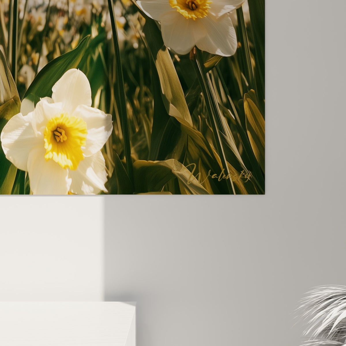Détail des pétales blancs et du cœur jaune d'une jonquille, grain de l'impression et nuances turquoise visibles