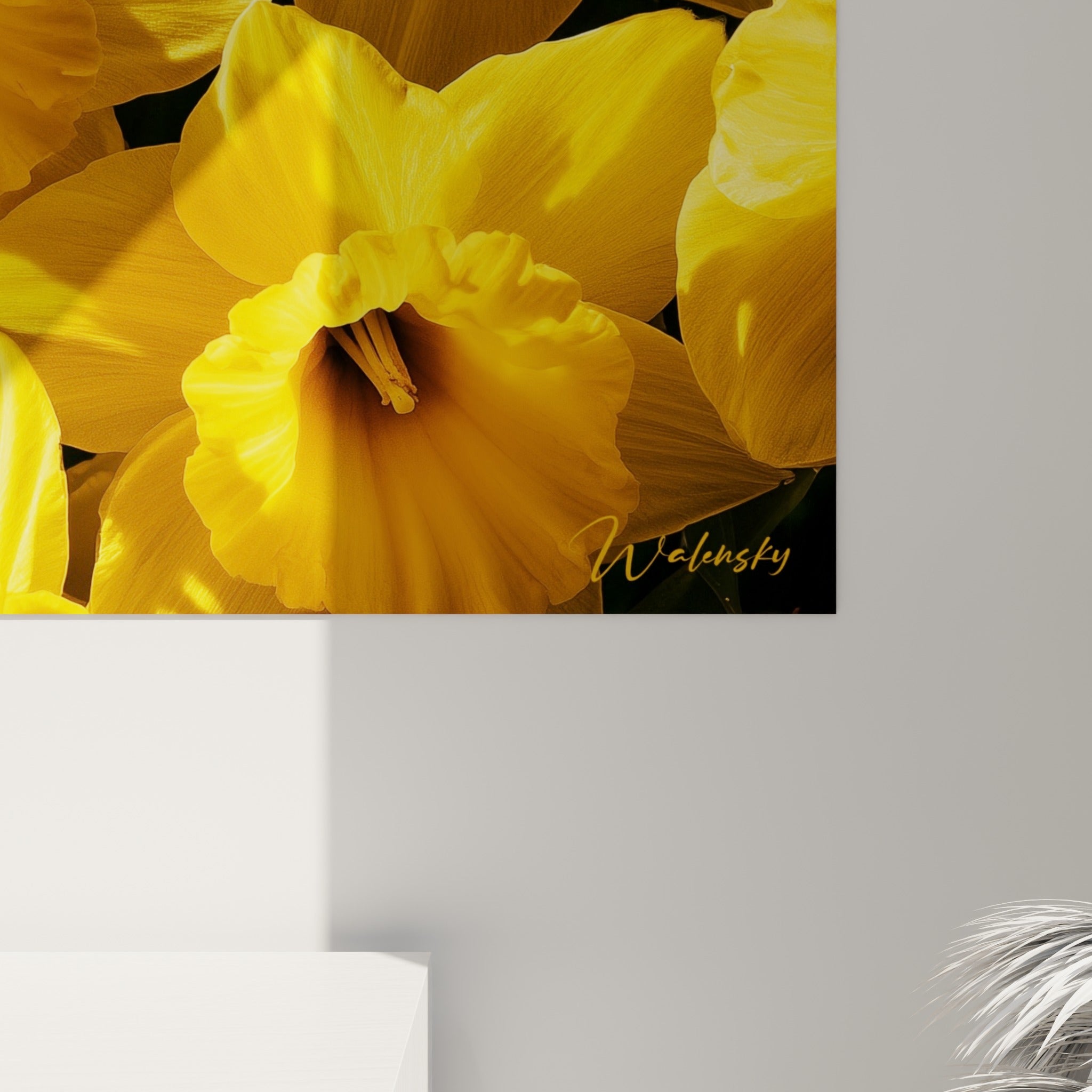 Détail des pétales de jonquille jaune où la lumière révèle textures et nuances orangées du cœur