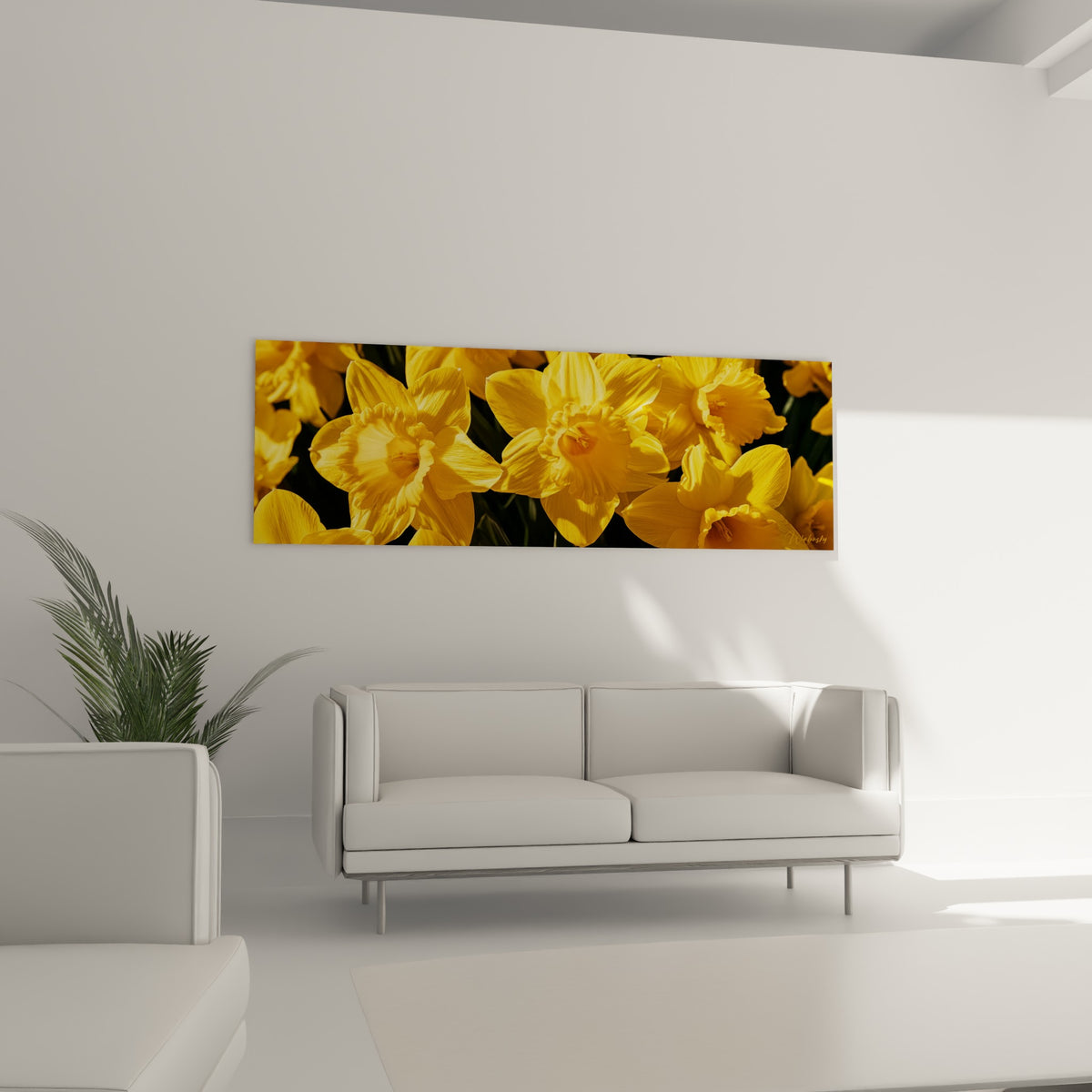 Fleurs de jonquille dorées et ocre disposées au-dessus d'un canapé dans un salon lumineux