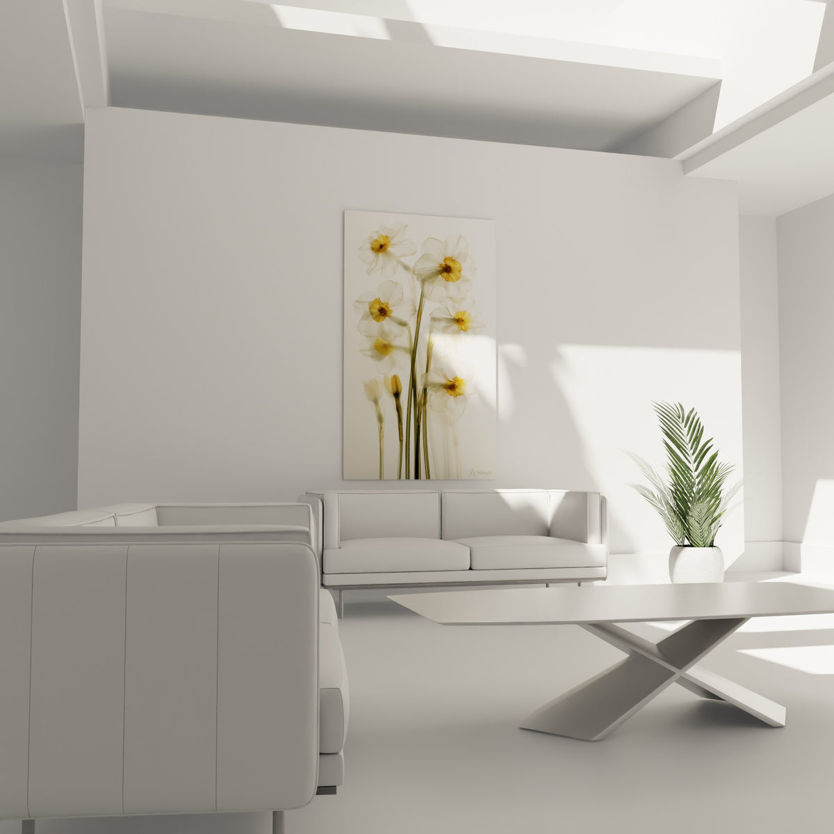 Fleurs de jonquille translucides jaune et blanc cassé, au-dessus d'un canapé dans un salon lumineux