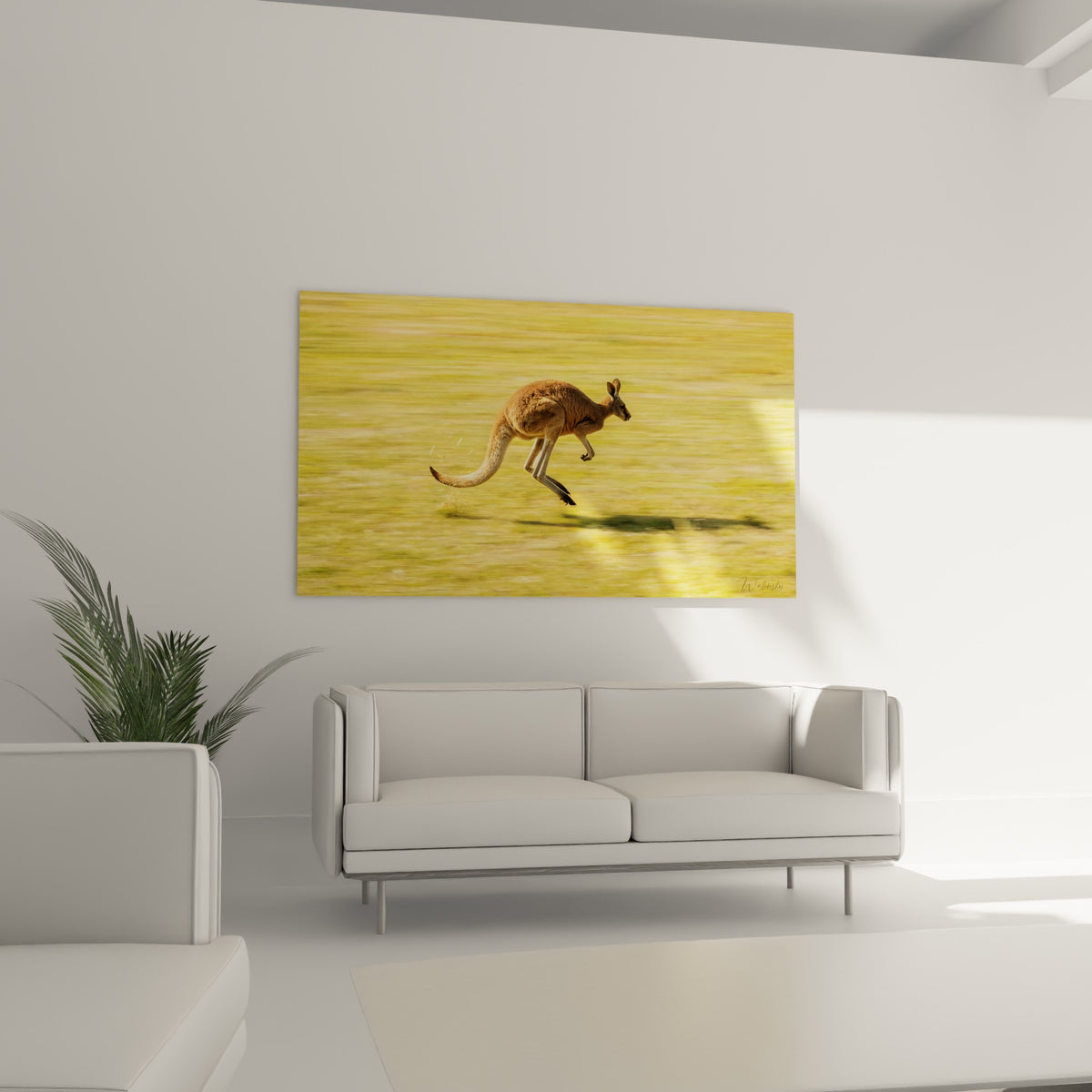 Kangourou surpris en mouvement, ombre longue projetée sur l'herbe dorée, au-dessus d'un canapé dans un salon lumineux