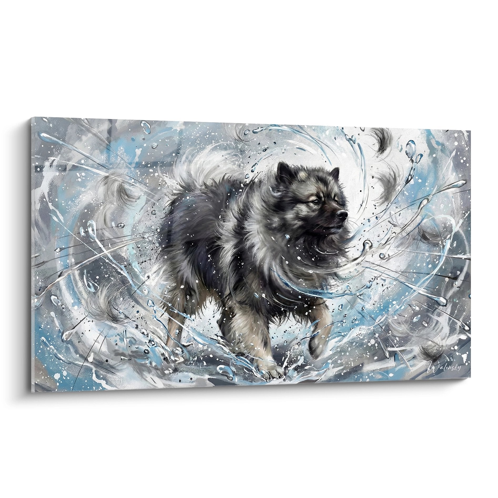 Tableau artistique Keeshond traversant torrent avec projections eau gris bleu mouvement dynamique