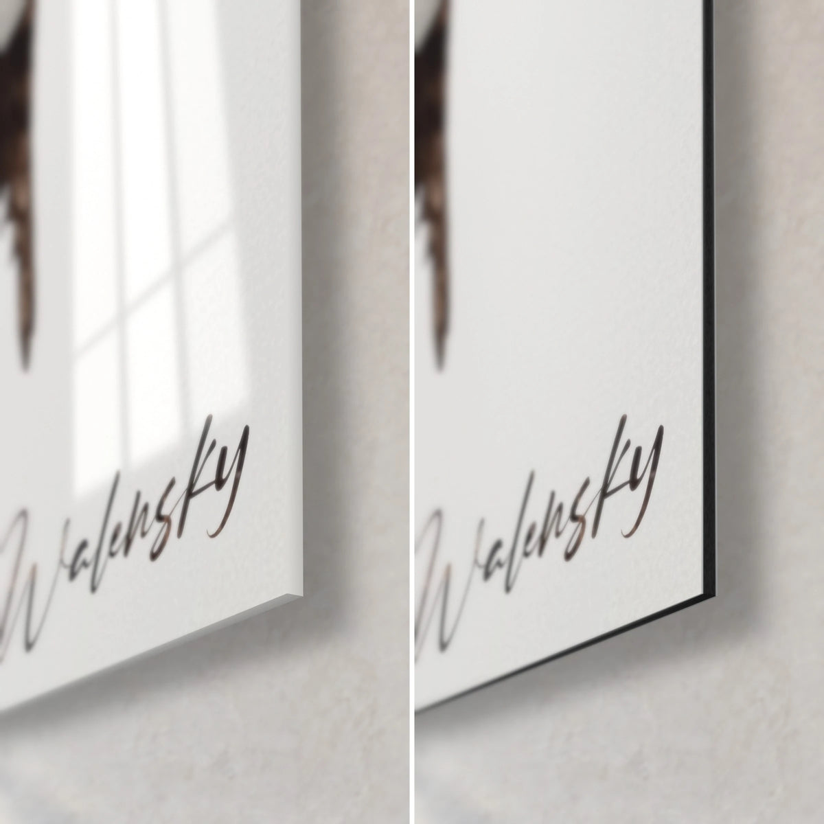 Tableau oiseau perché sur fond blanc, signature Walensky bas droite, verre acrylique brillant reflétant la fenêtre et alu Dibond noir mat