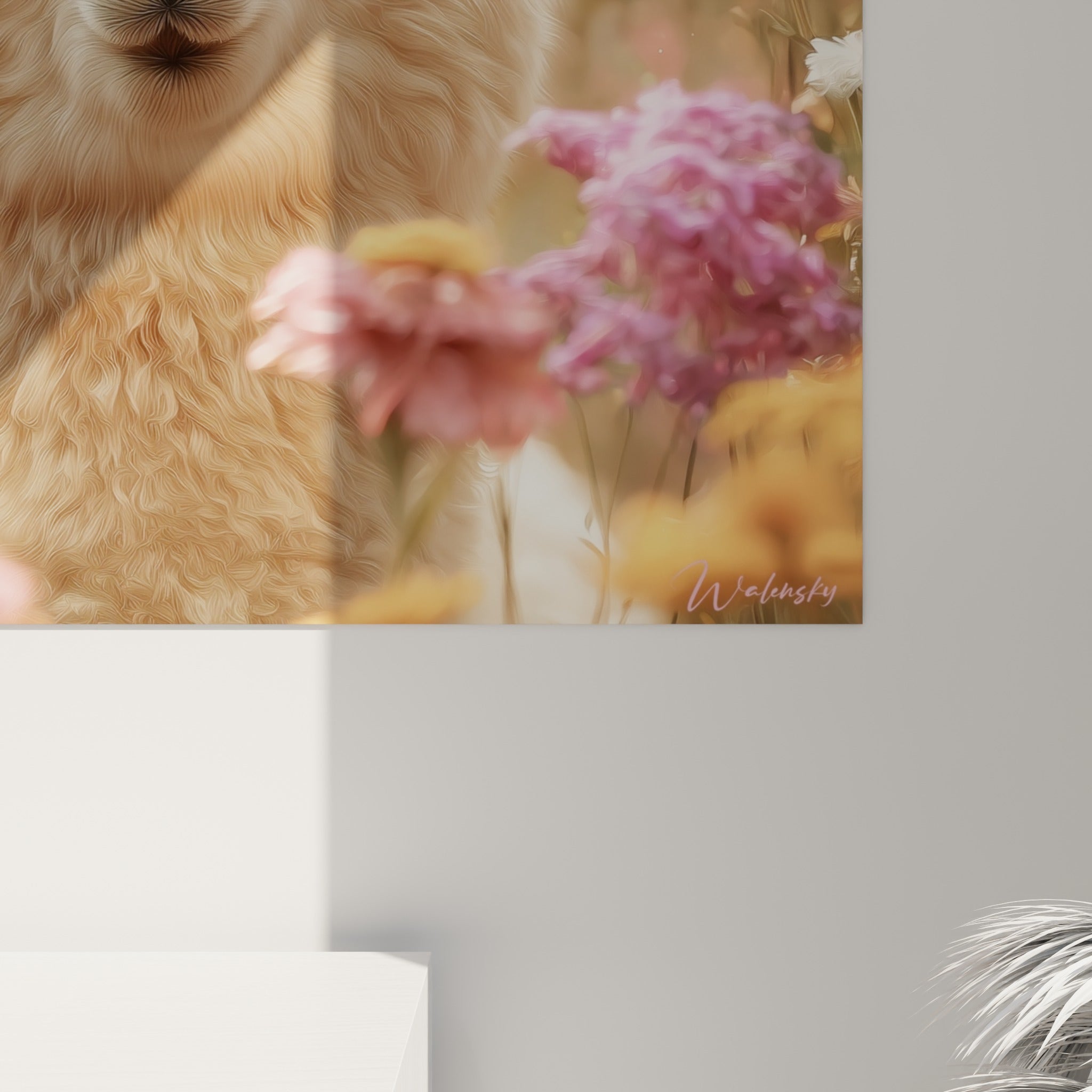 Détail des mèches bouclées crème du lama et des pétales roses, grain fin et lumière dorée en gros plan