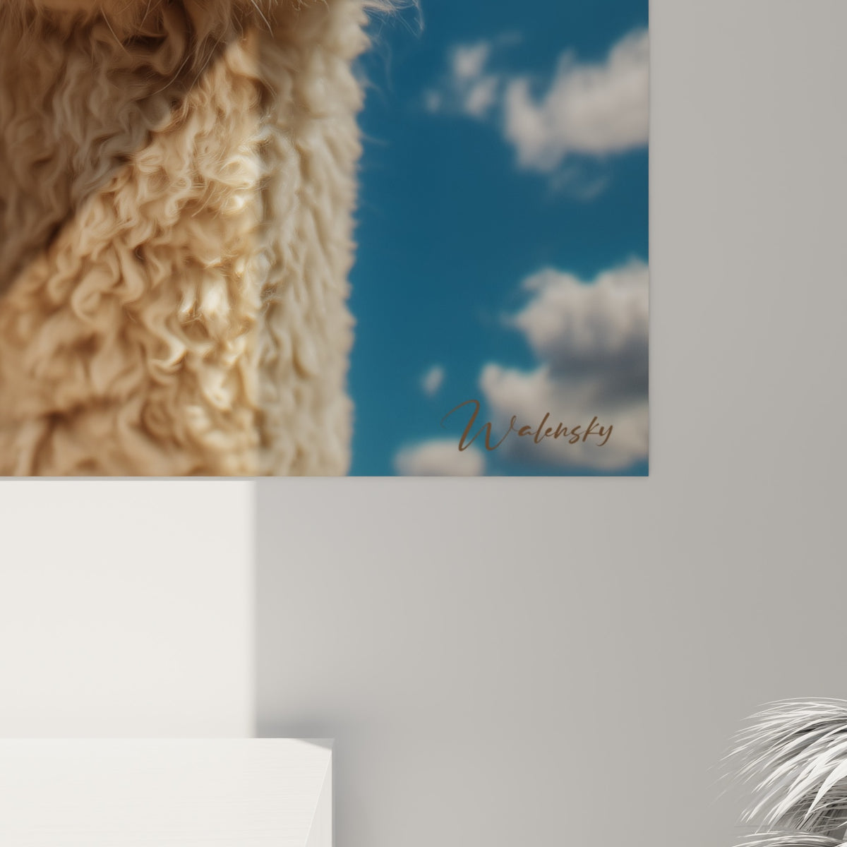 Détail des poils bouclés du lama beige, texture soyeuse et reflets dorés contre le bleu du ciel